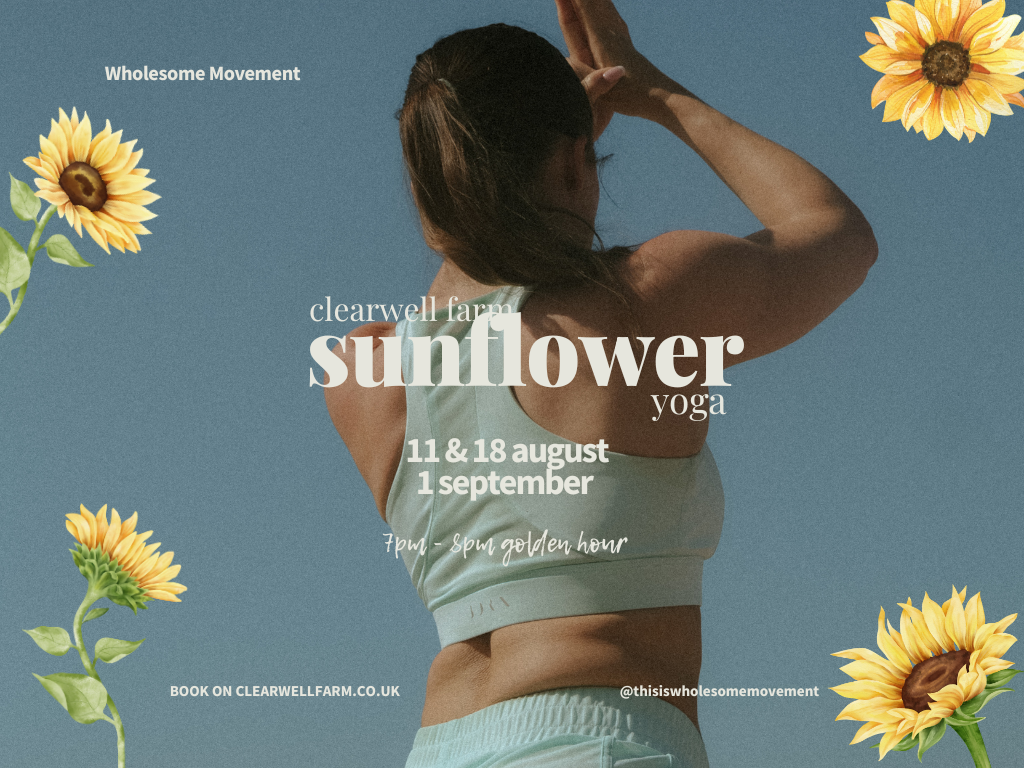 Sunflower Farm: Flow Yoga