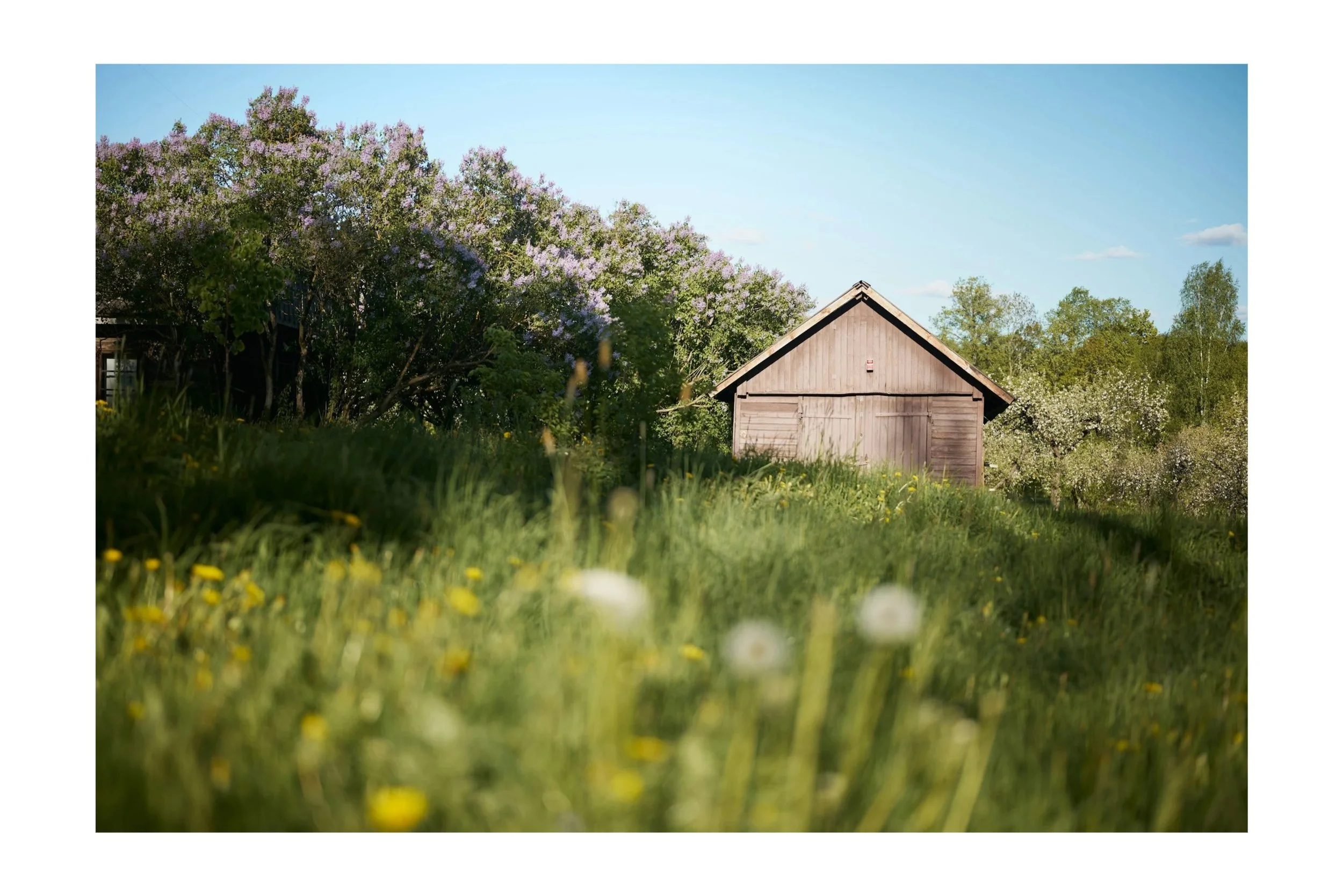 Fire Resistant Planting to reduce risk