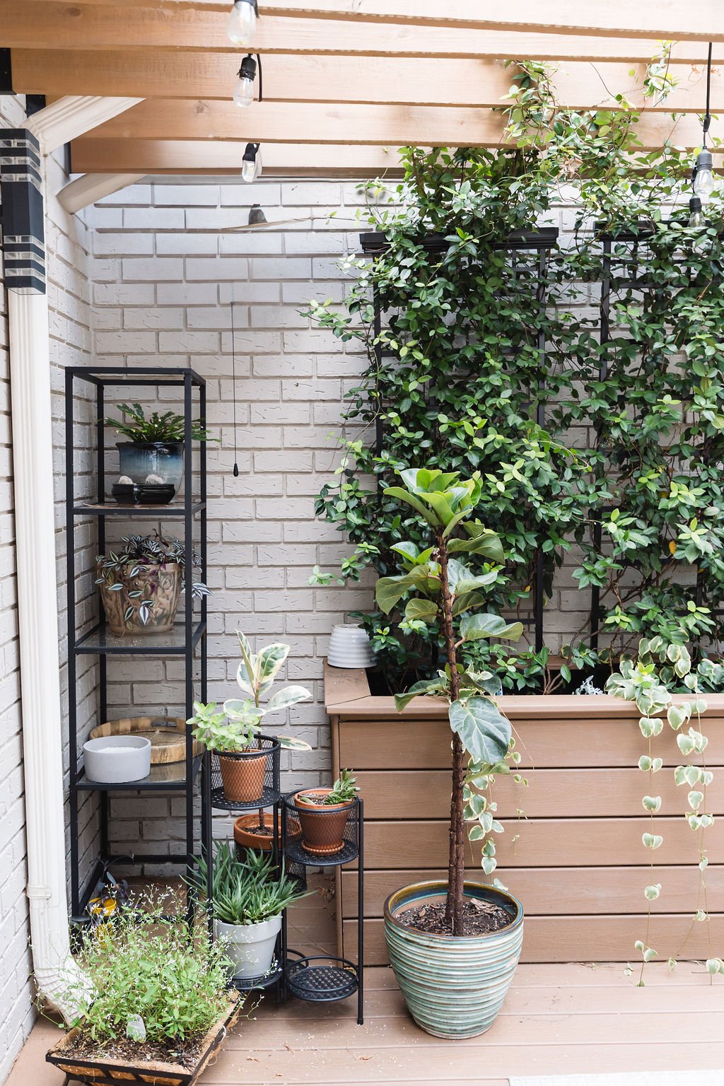 LumenCreativeCo-august-65.jpg