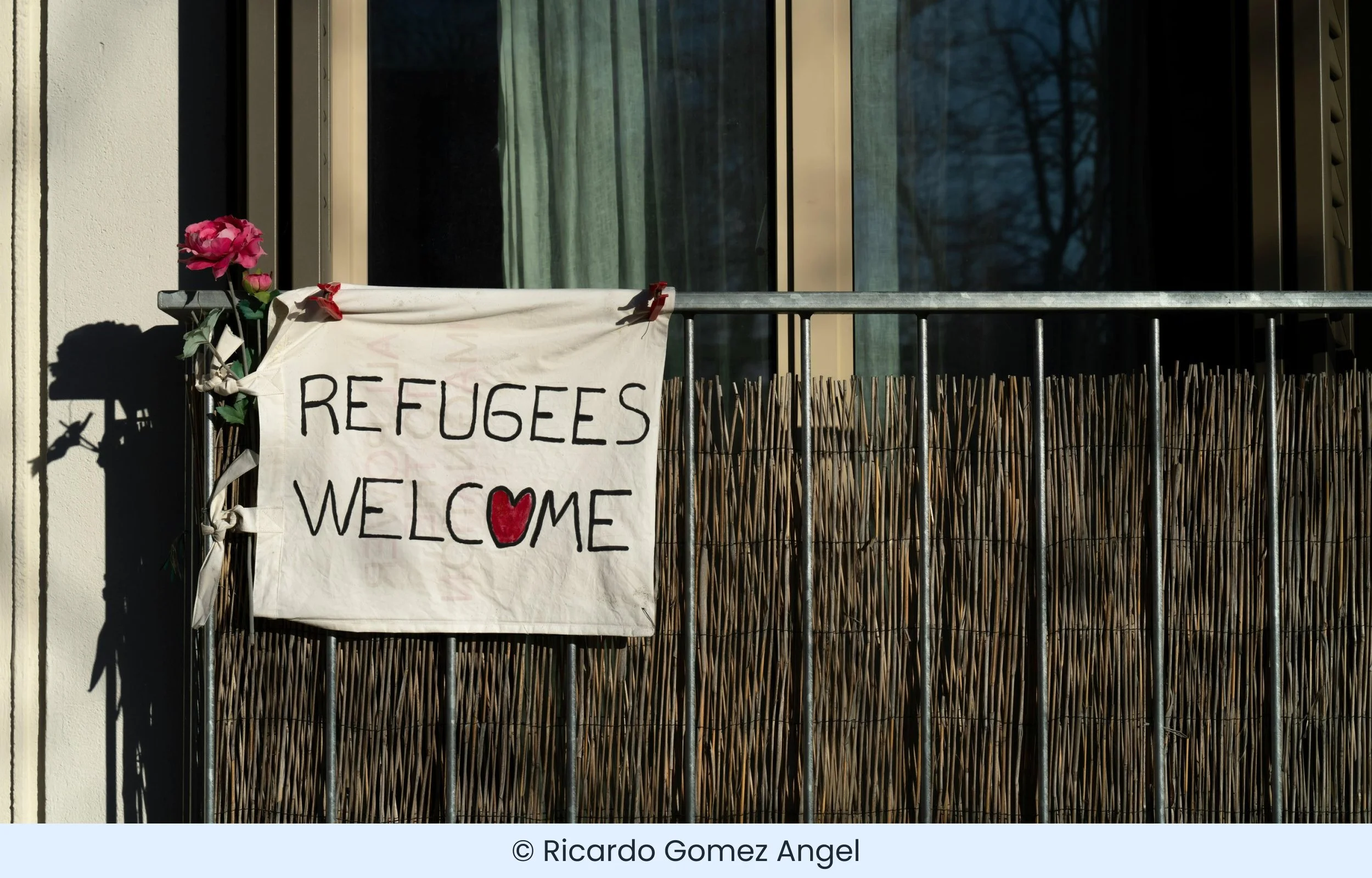 Economic and Social Integration of Syrian Refugee Single Mothers