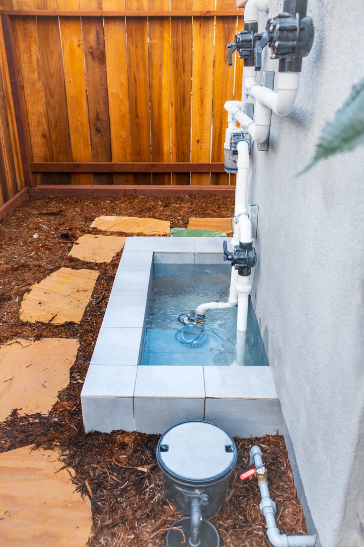 pristinepool_3-5-24-15.jpg