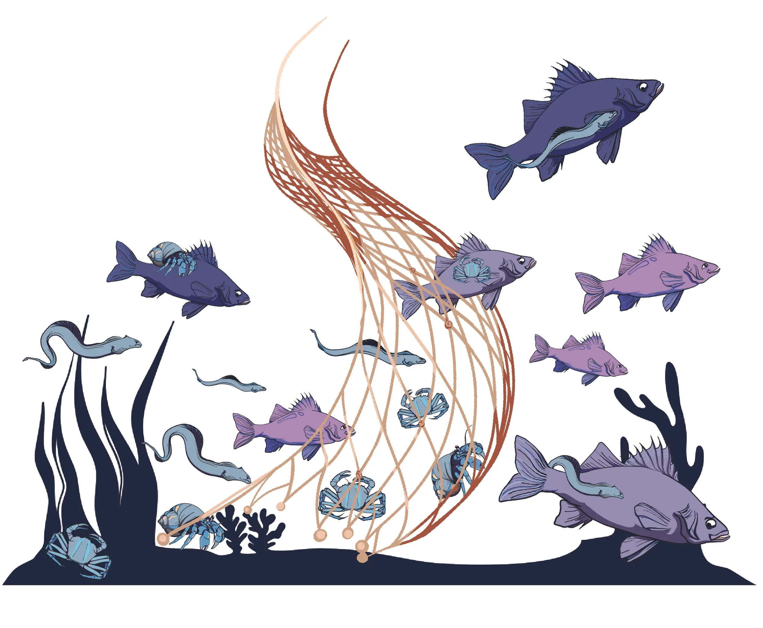 Tightening the Net - Edits Rd 2.jpg