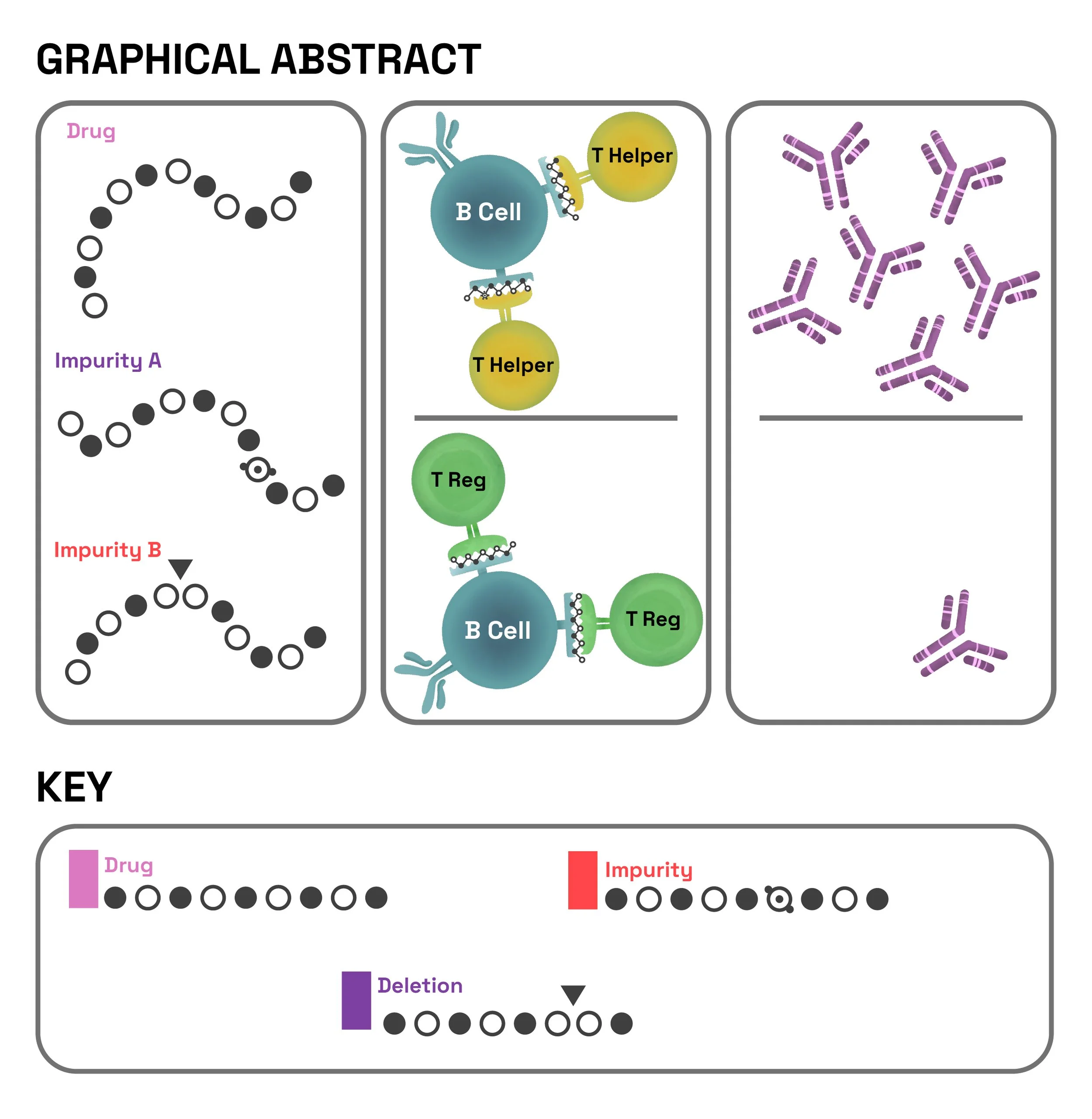De Groot_02_TCell-Graphic Abstract_Version -01.jpg