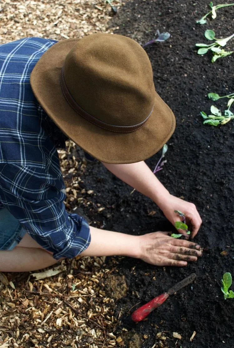 Love What You Grow @ 10 Trees.