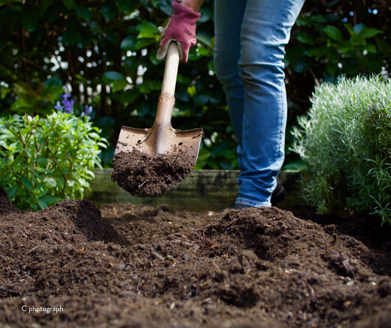 Community Bed Build (1).