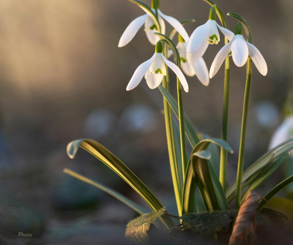As Open House celebrates its second year of being, 10 Trees steps into its first.&nbsp;