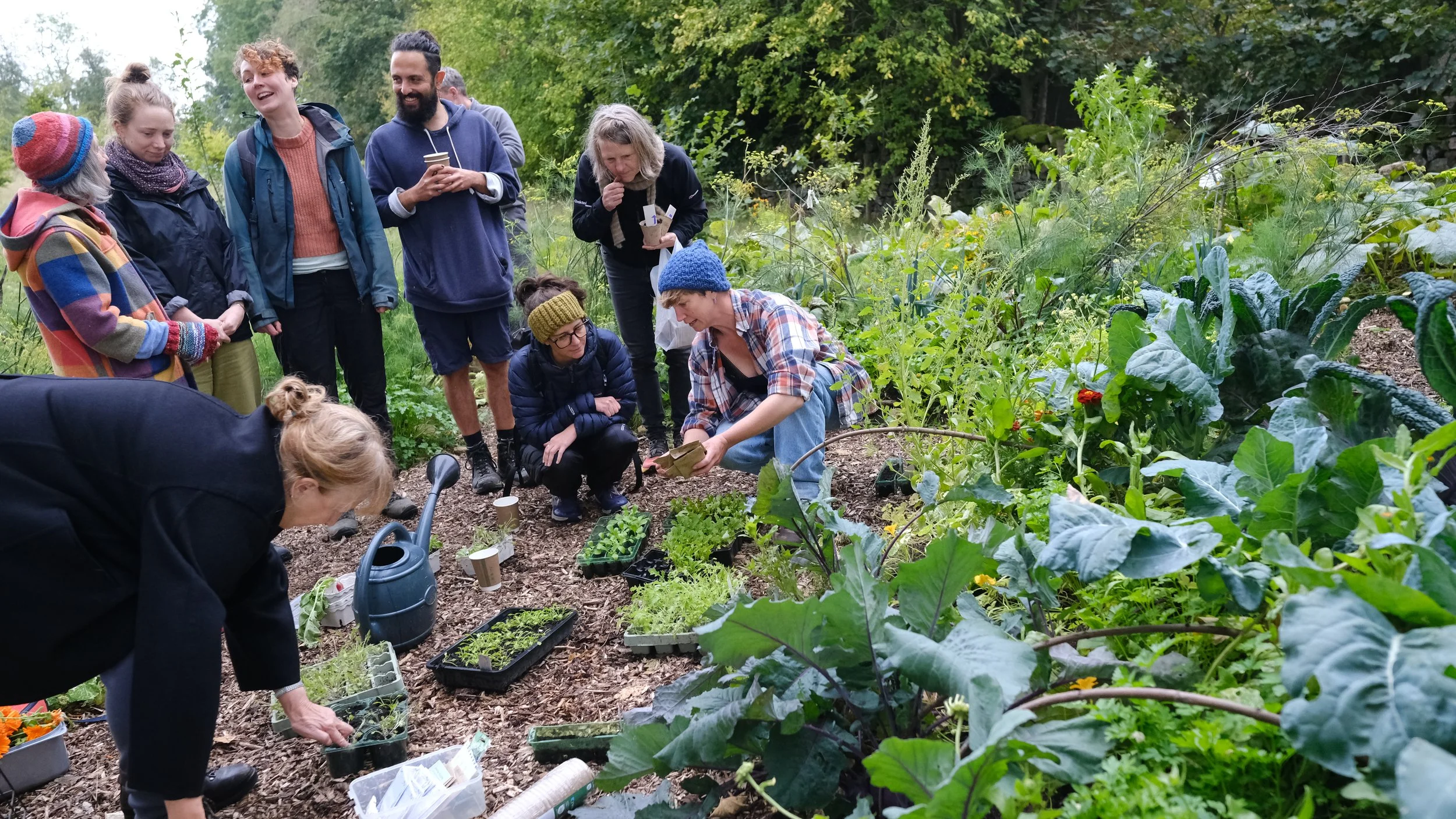 Behind the scenes - food growing in the Hope Valley