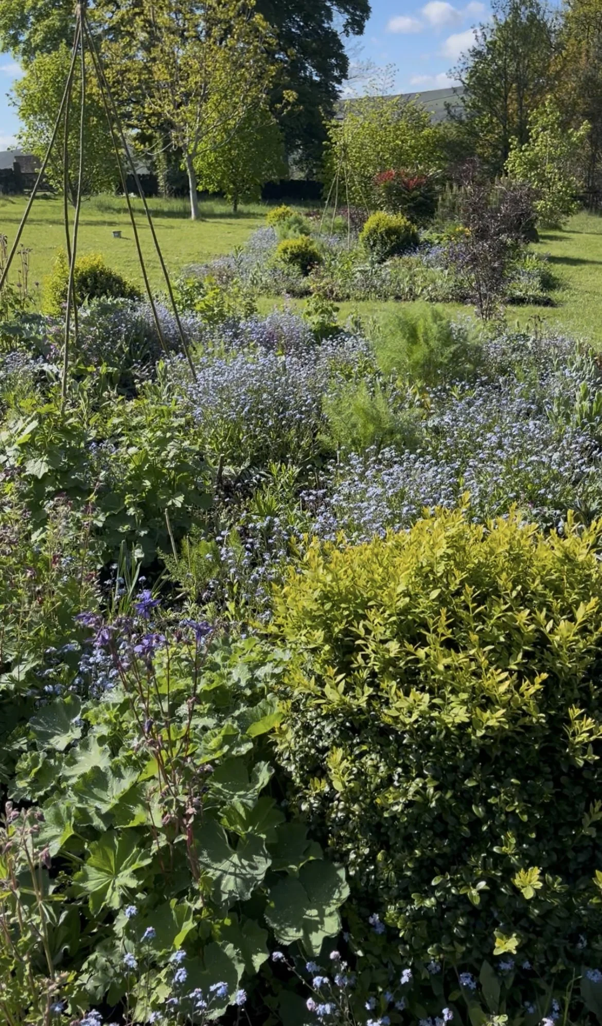 Open Wild Garden.