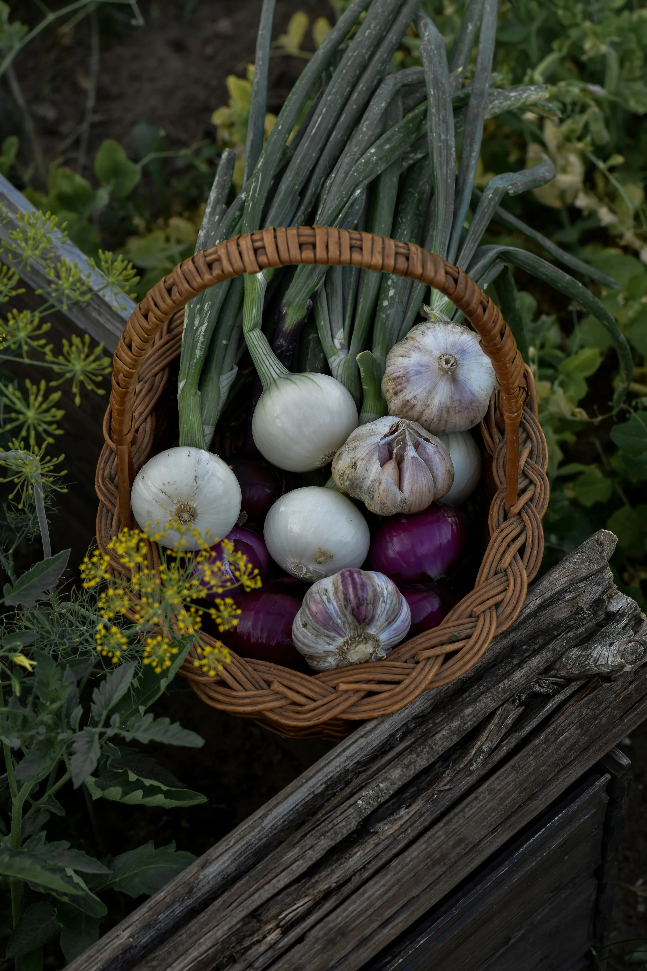 Hands in the soil: after hours