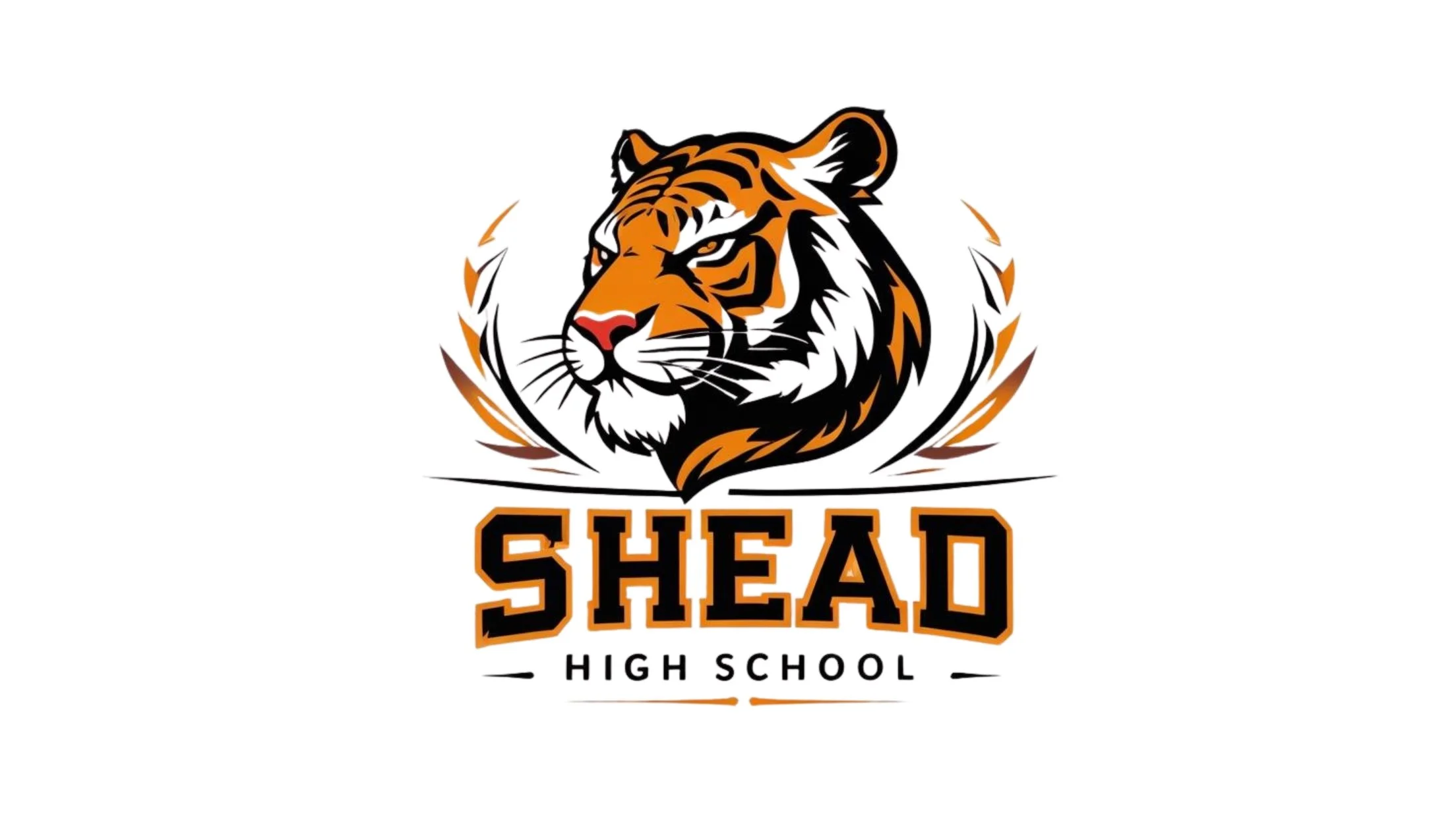 School Shead Shead High School
