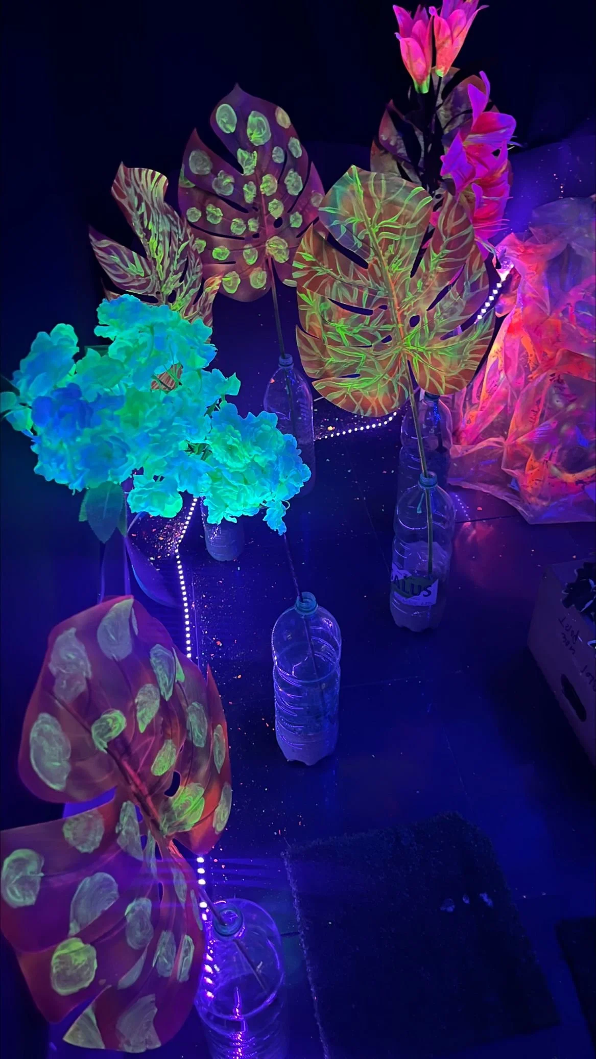 Uso de botellas como reciclaje