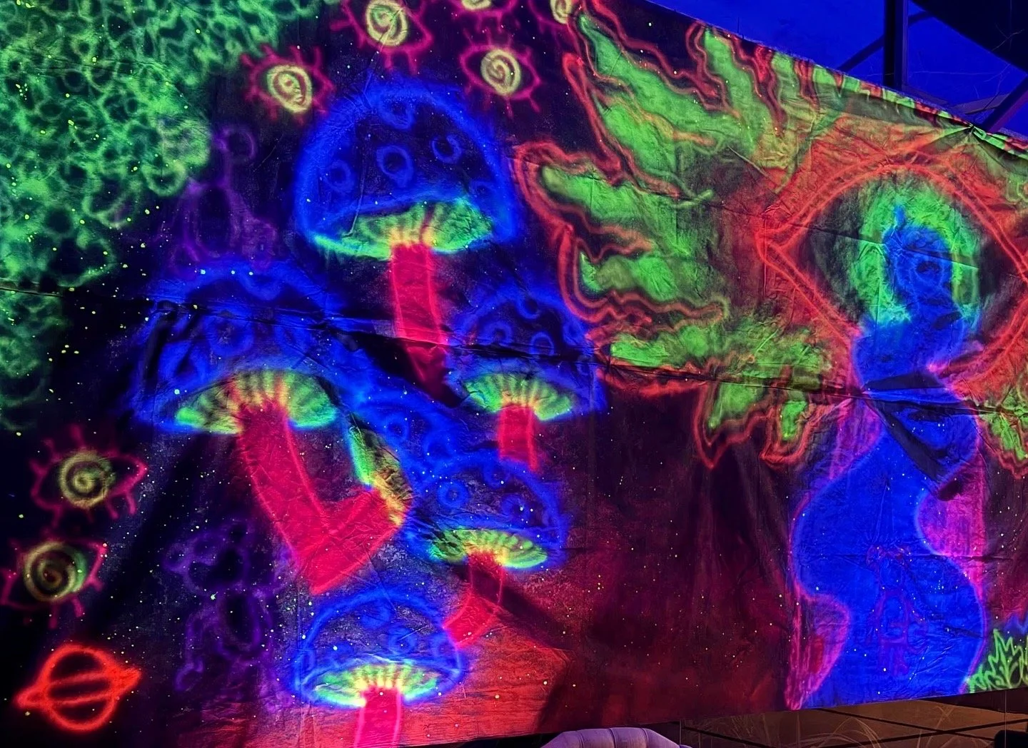 8A94B417-22BA-44CC-B8A8-C1D5F8CE45A1 2.JPG