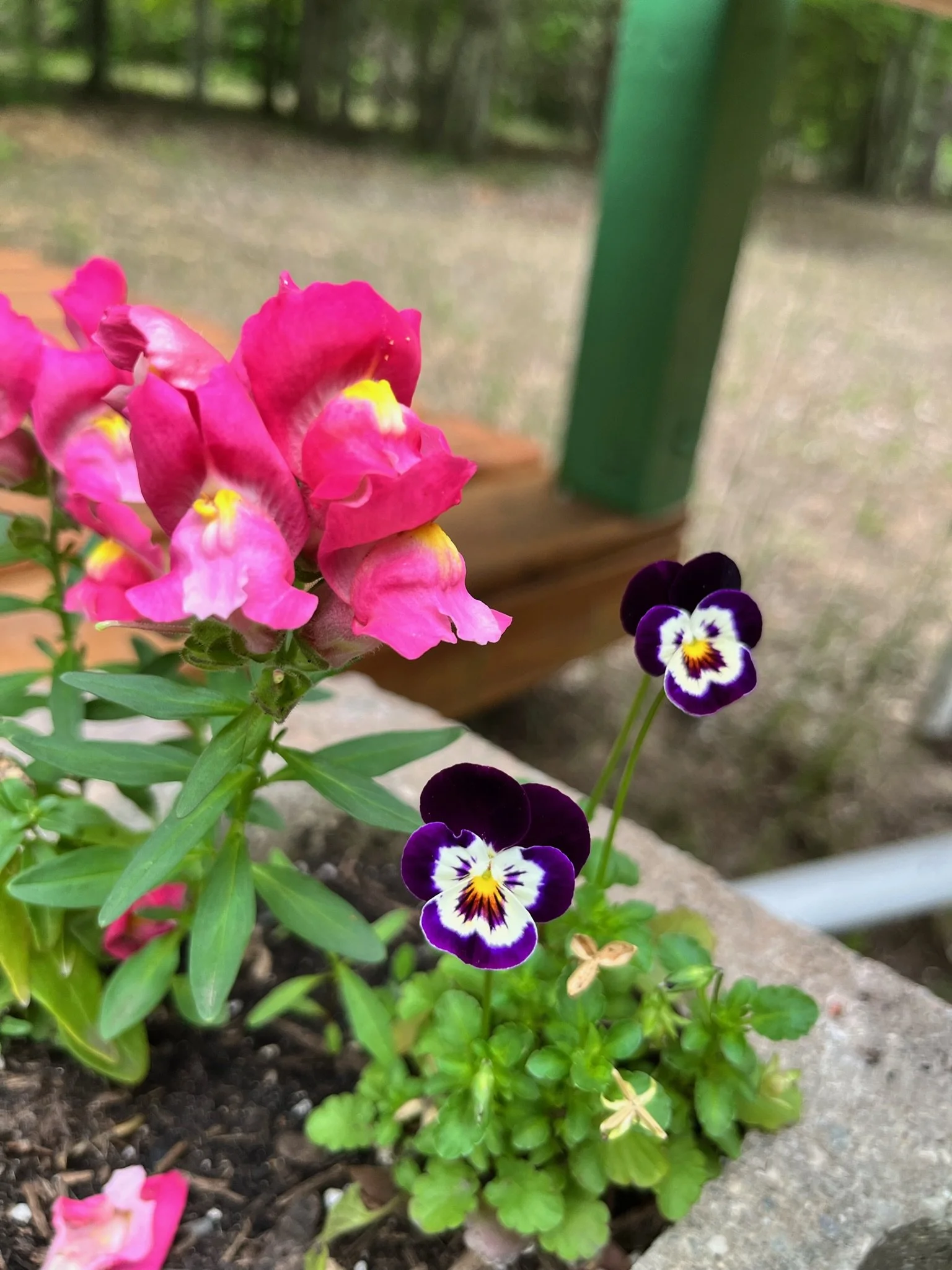 71002310591__8DE95310-A07A-4A66-894B-0C507A1D0E8A.jpeg