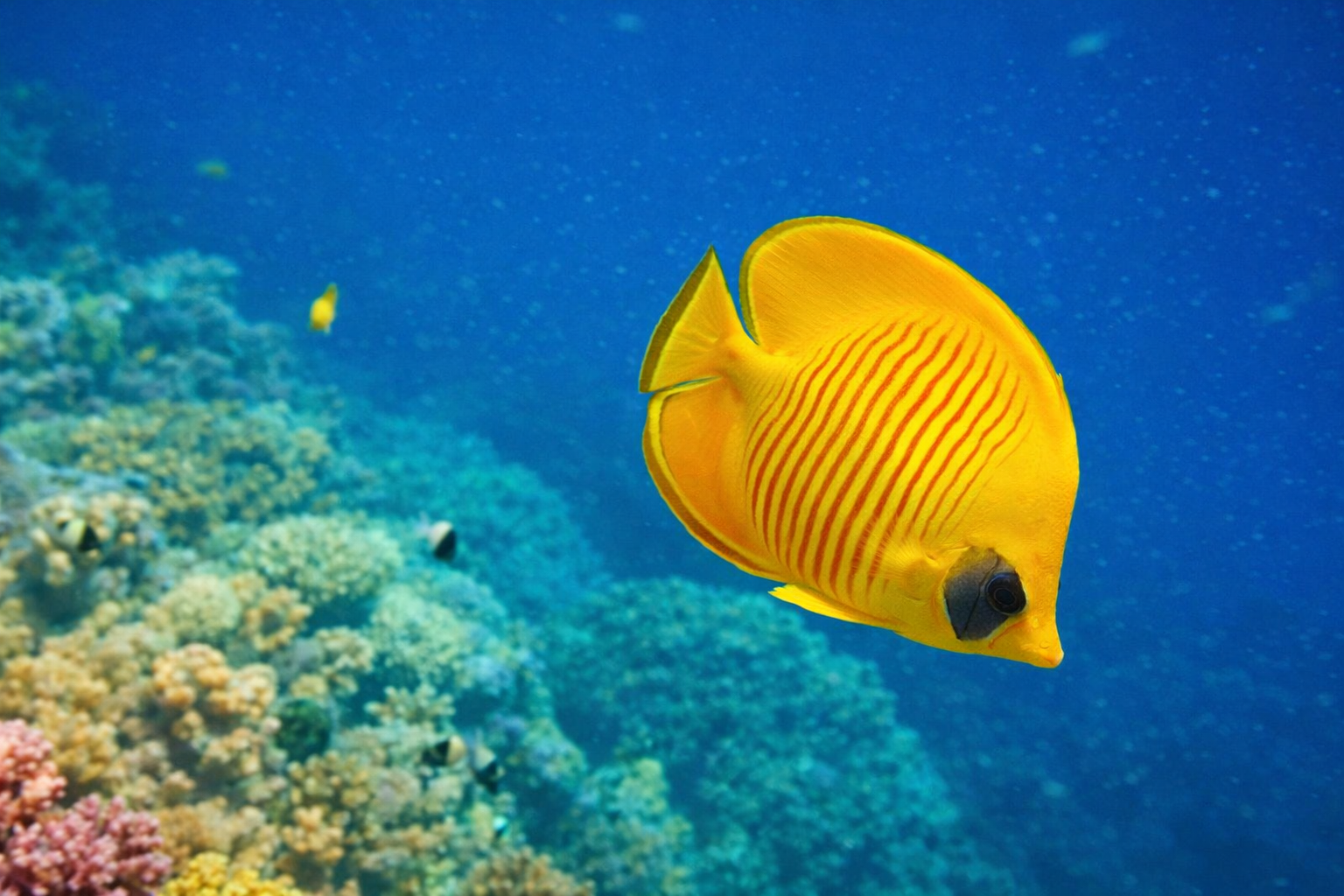 Copy of 600_800- 4day.png