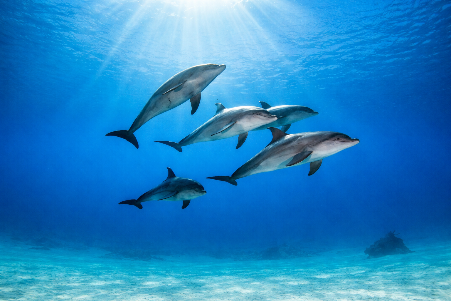 Copy of 600_800- 2day.png