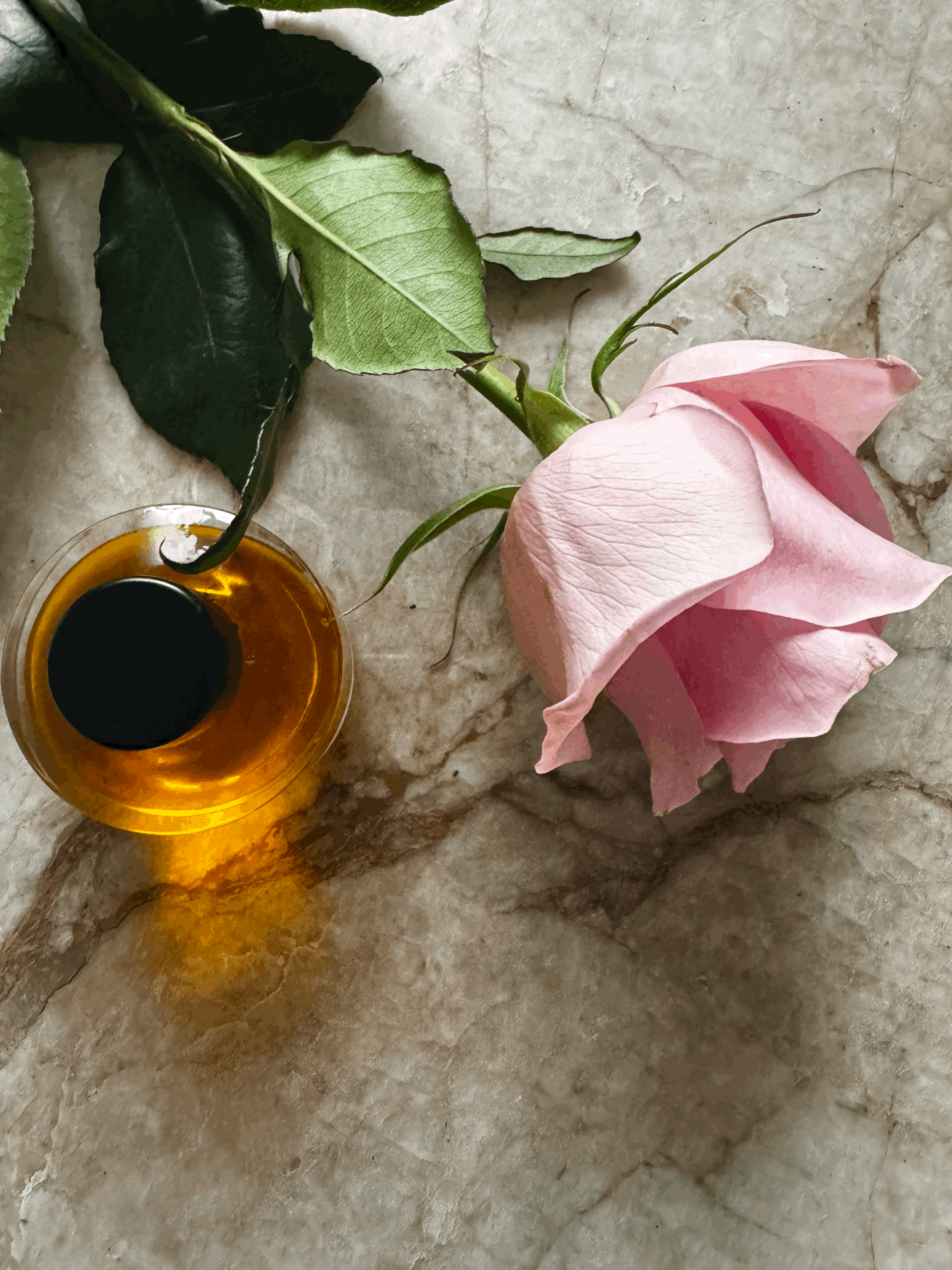 Bulgarian Rose |  Anti-Aging