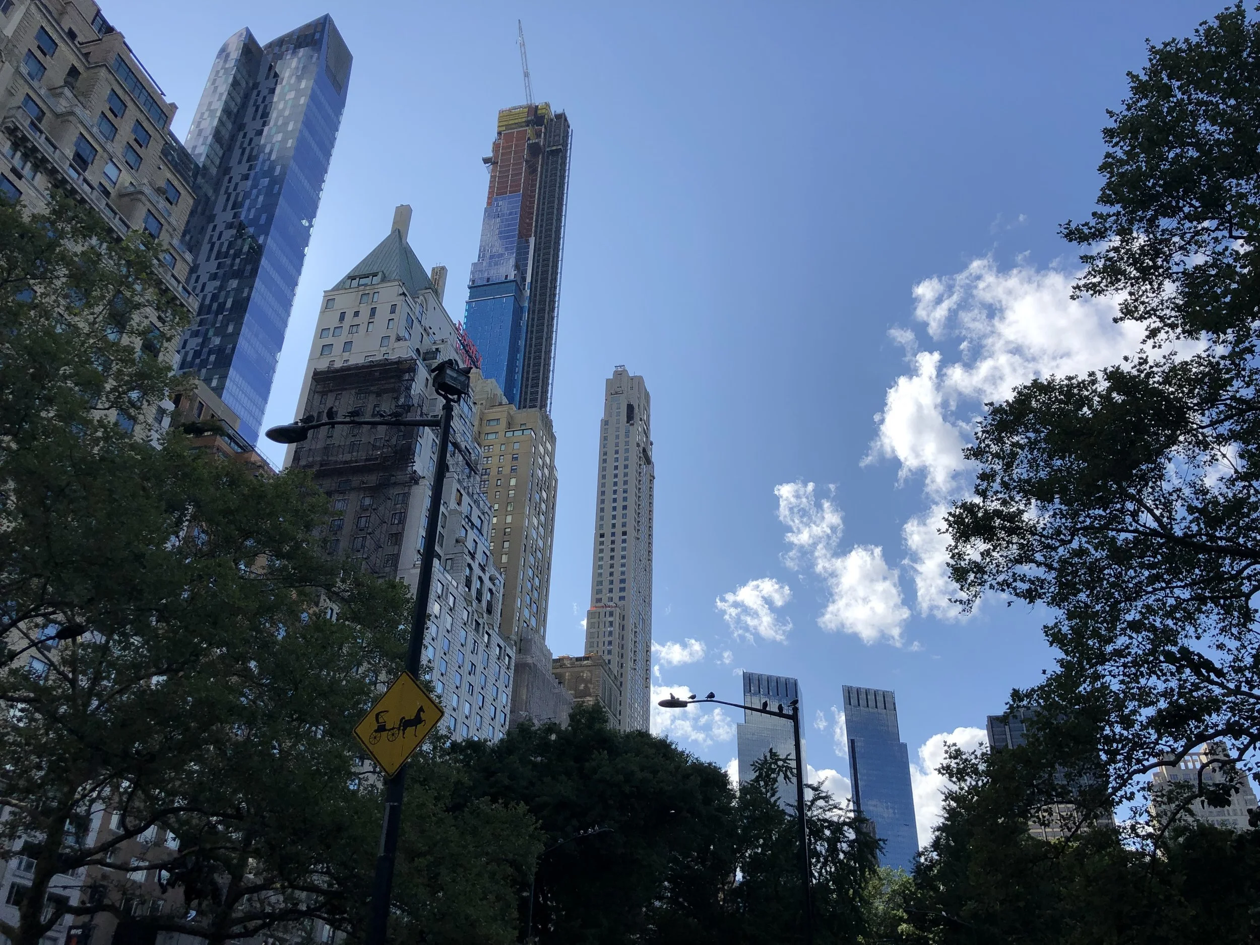 Central Park, viewpoint looking up at trees and skyscrapers, blue sky, and clouds; displaying the company's commitment to urban environments