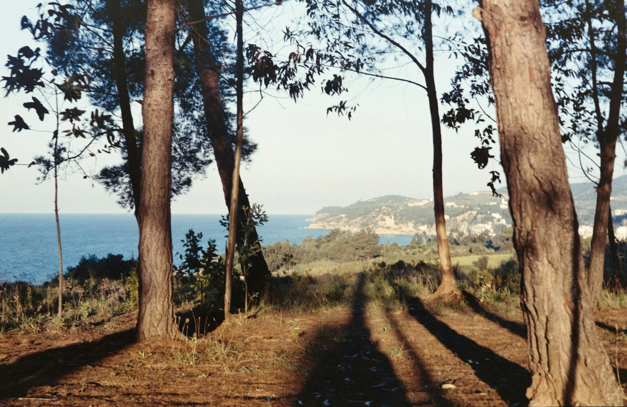Hiking in Donostia