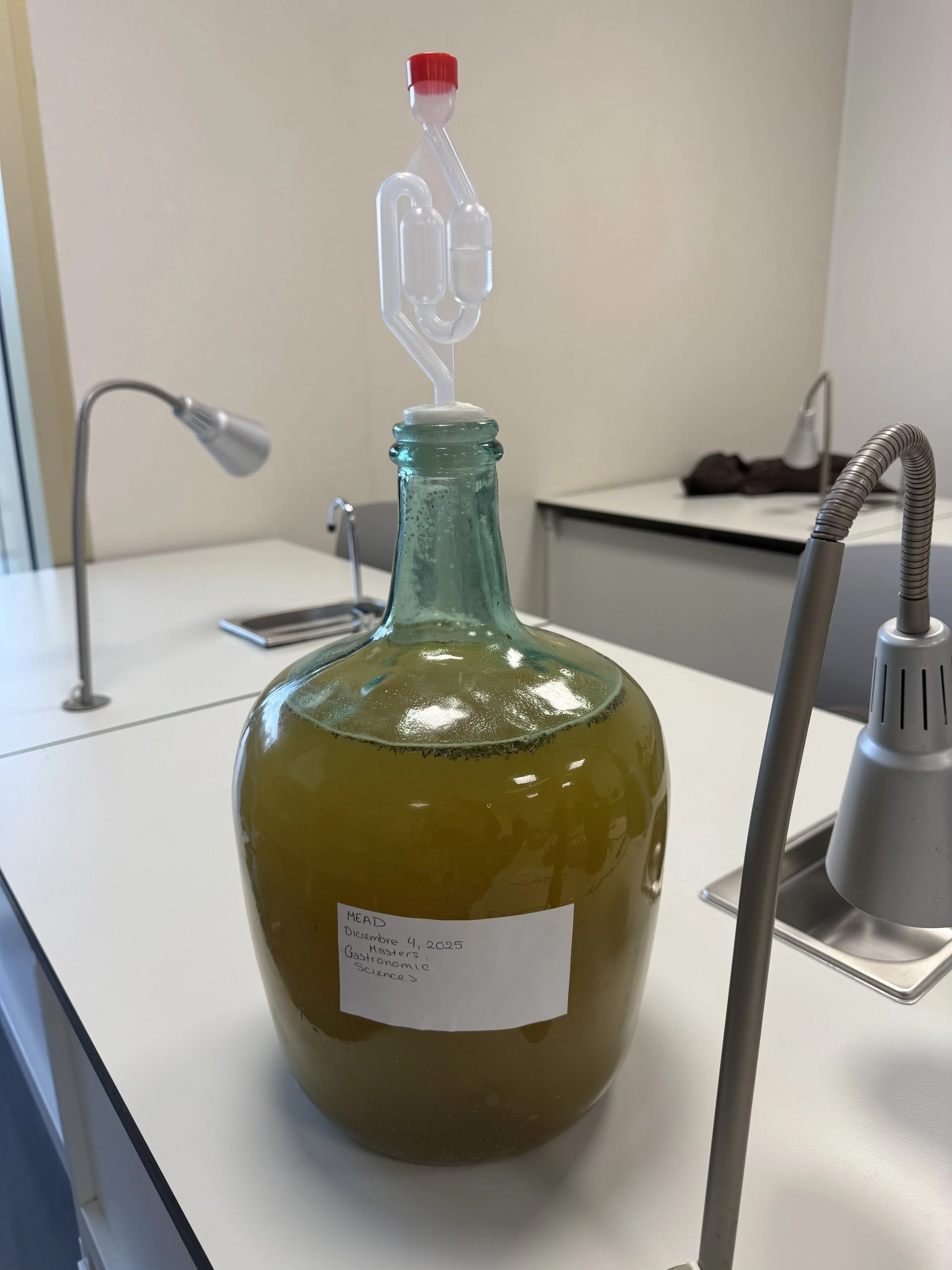 Fermentation Is Technology: How GOe Turns Microbes Into Flavor, Sustainability, and New Possibilities