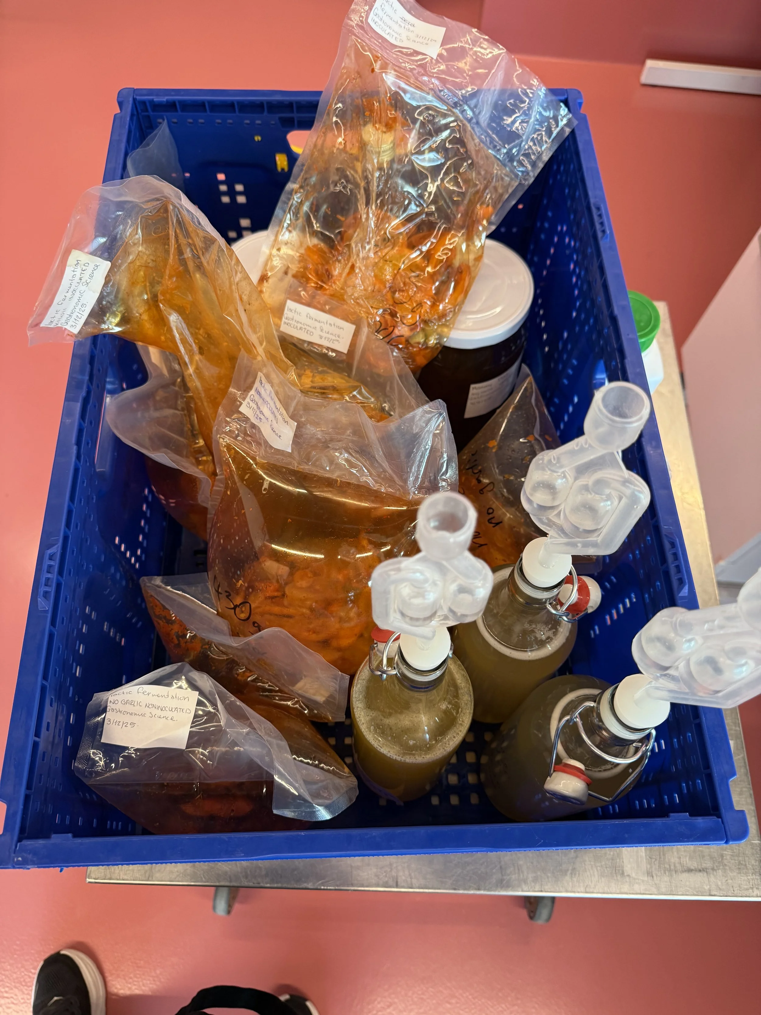 The Science of Delicious: How GOe Tech Center is Shaping What We Eat Tomorrow