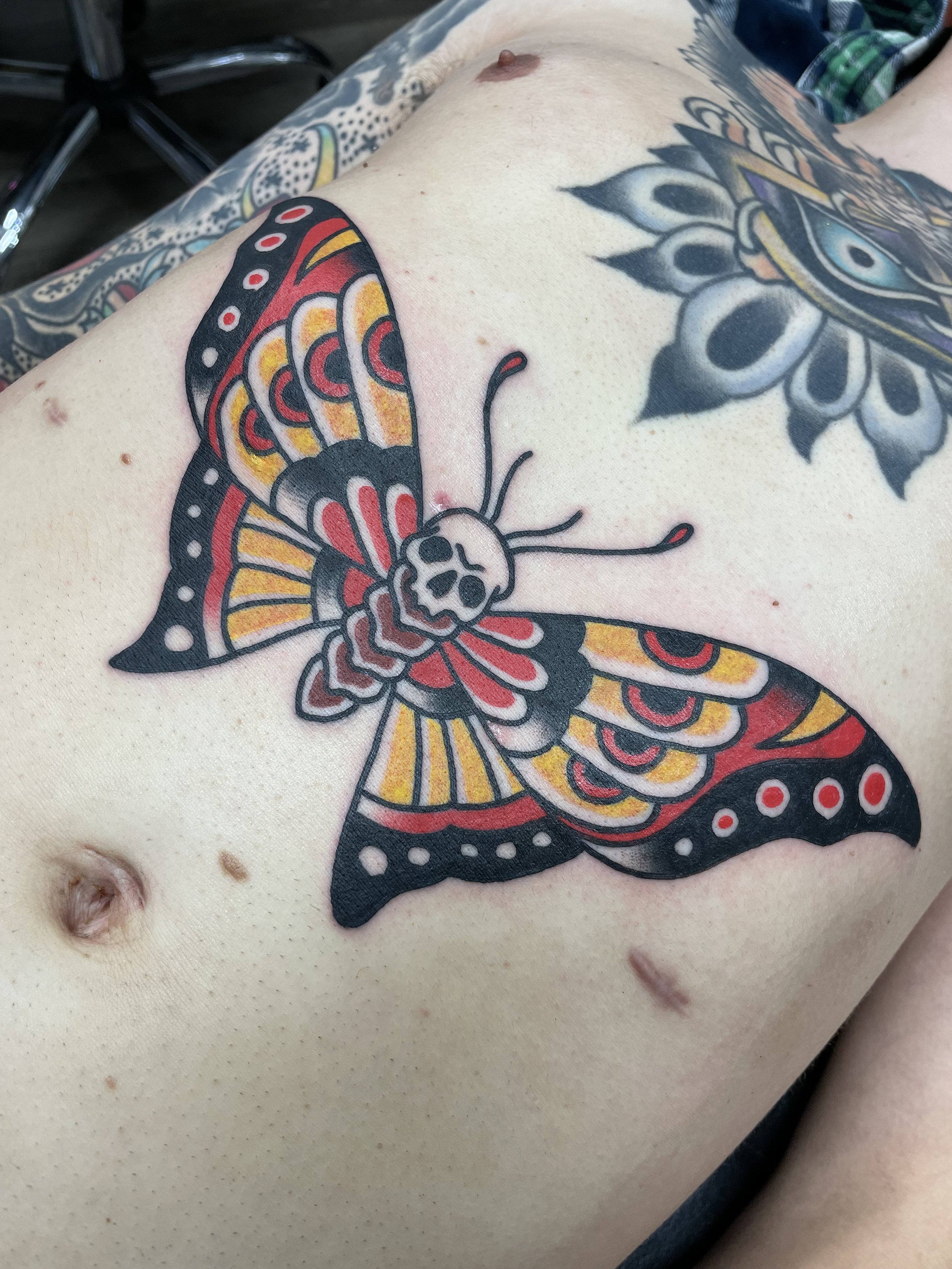 ZACHBUTTERFLYSTOMACH.jpeg