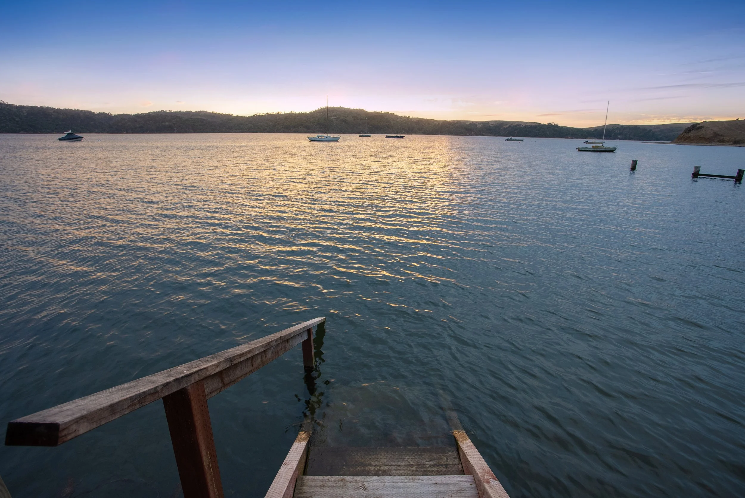 Tomales Bay