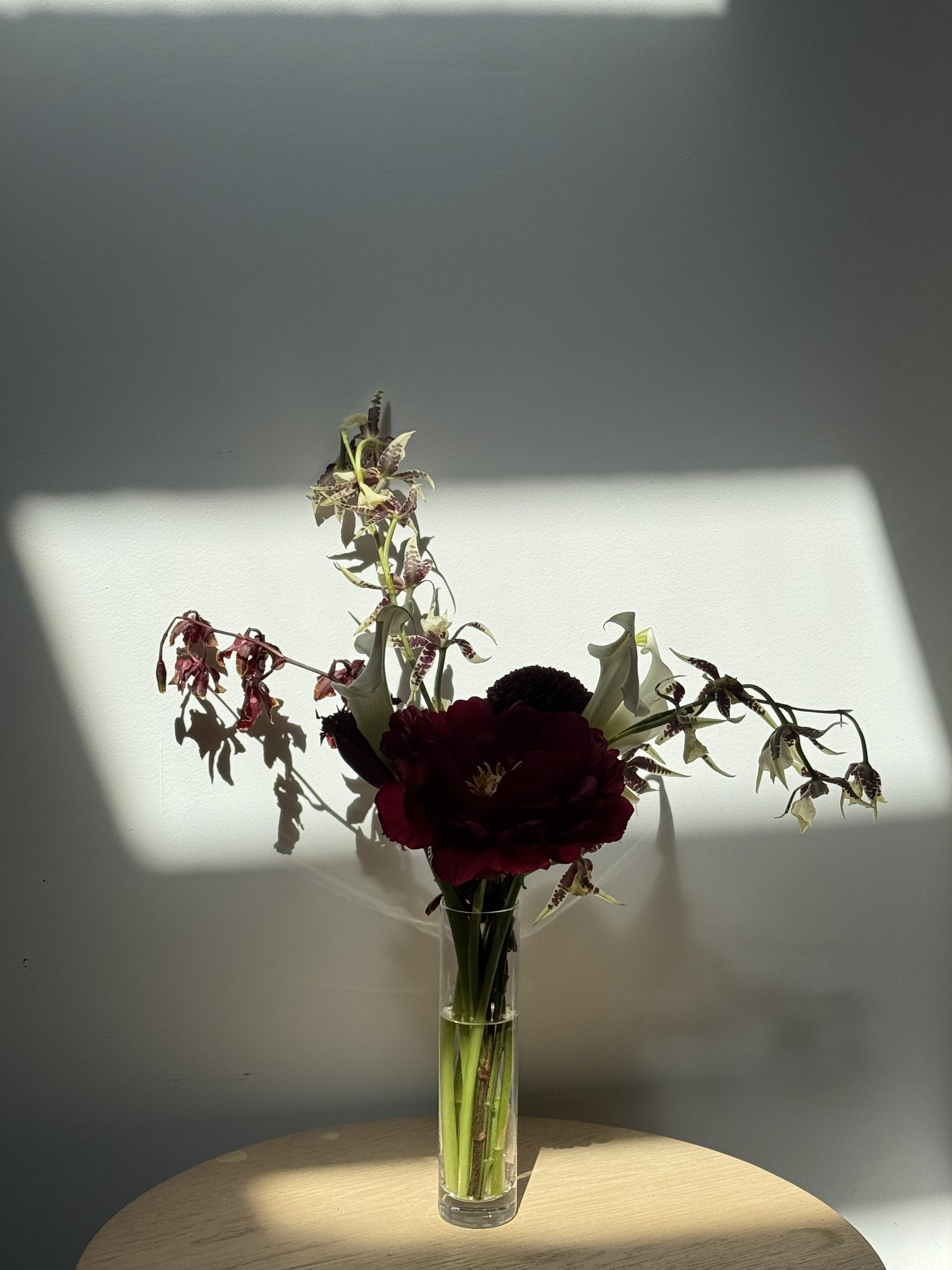 IMG_9173.jpeg