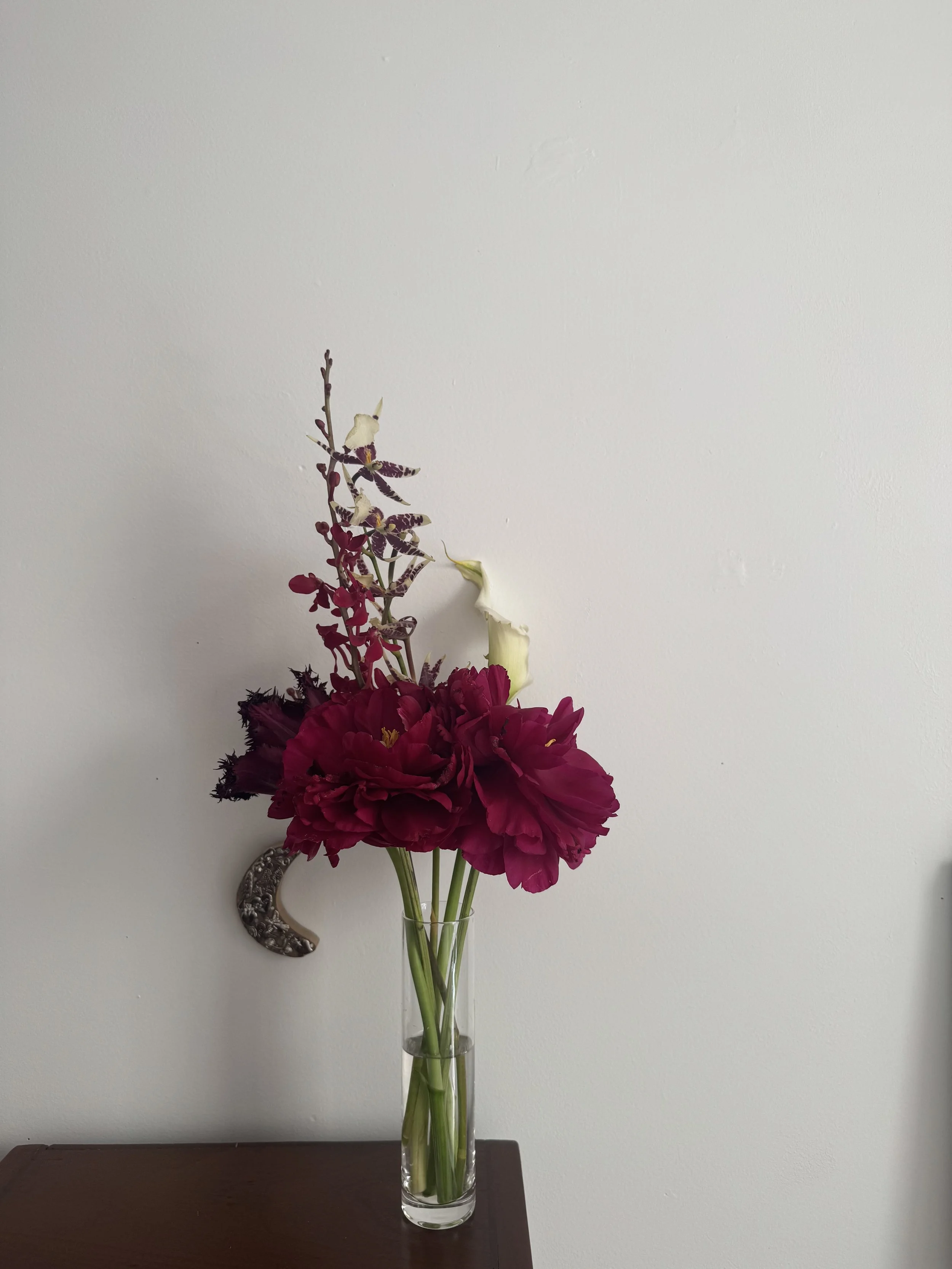 IMG_9250.jpeg
