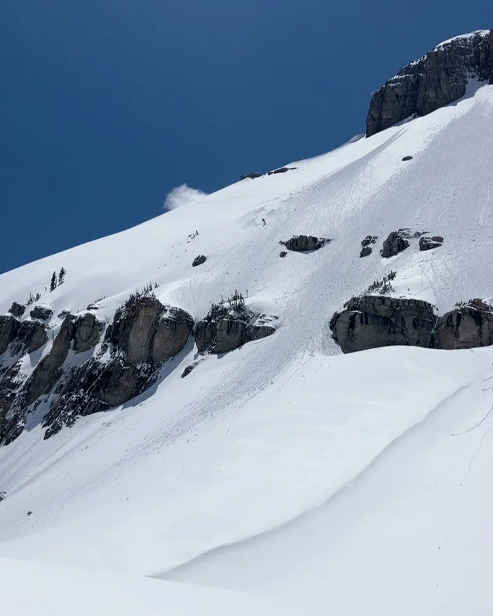 From the other day with @j_skeen .  Maybe the last few turns of the year 😢. 

#skiing #backcountry #solitude