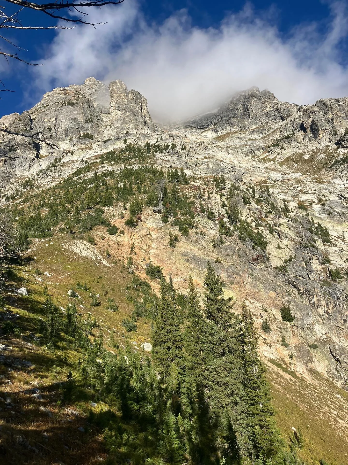 Nice romp in #gtnp. Feeling like fall up there!