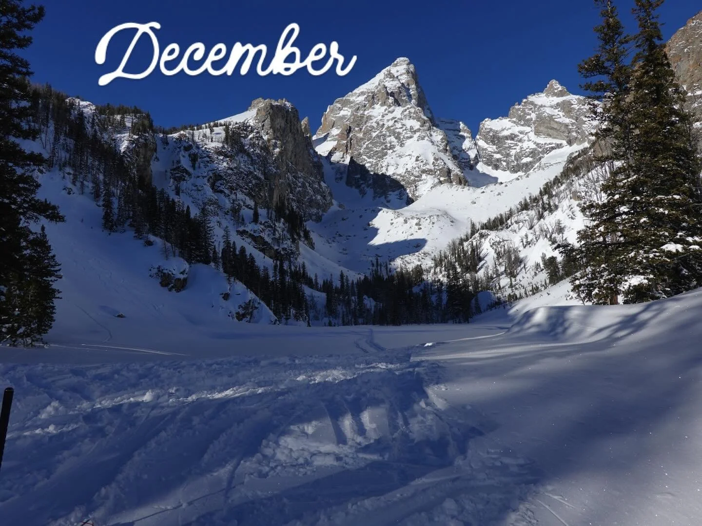 12 months in photos. Happy New Year!