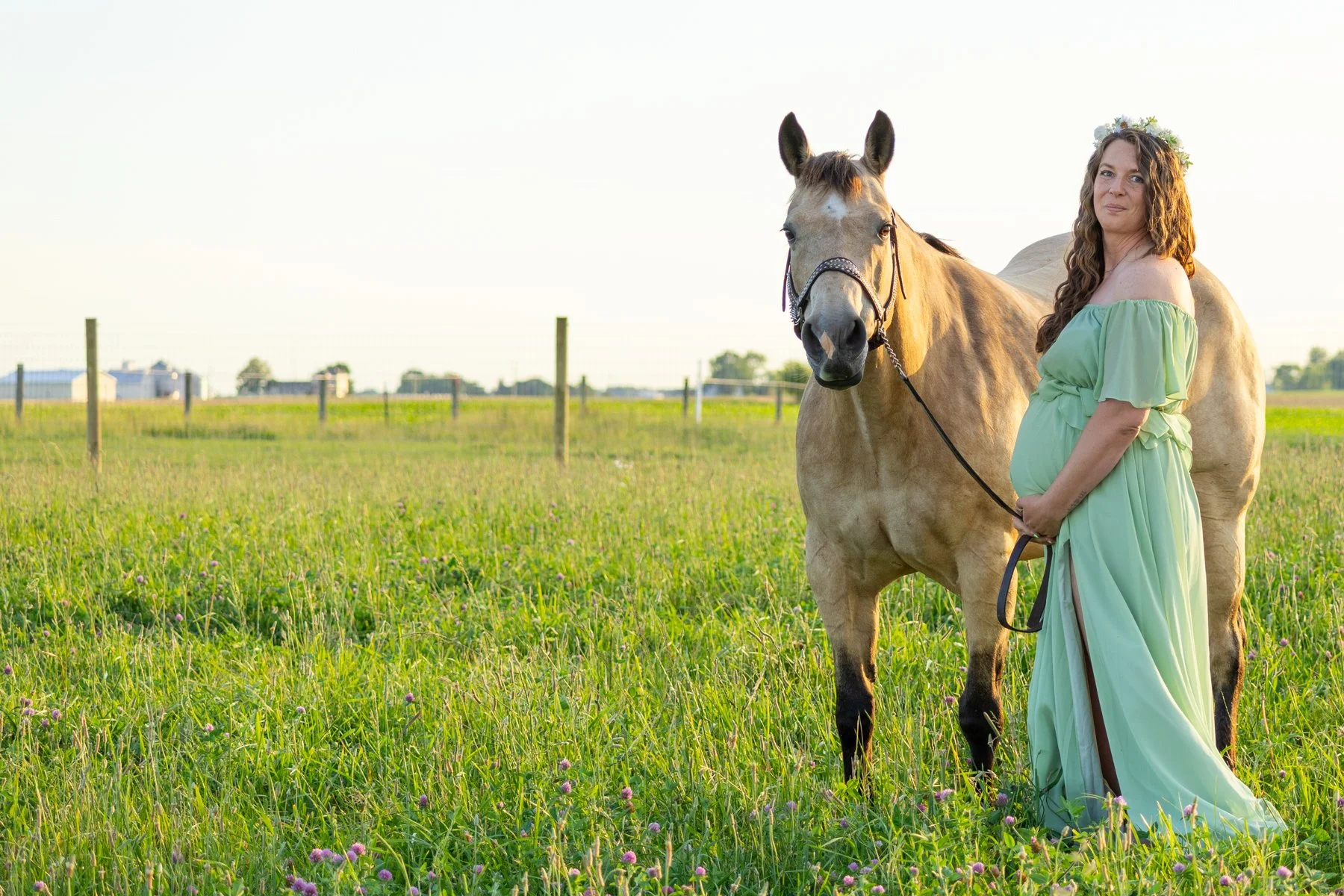 maternity photo taken of a mom and horse in a country setting of Indiana tall grasses in a farm field at sunset