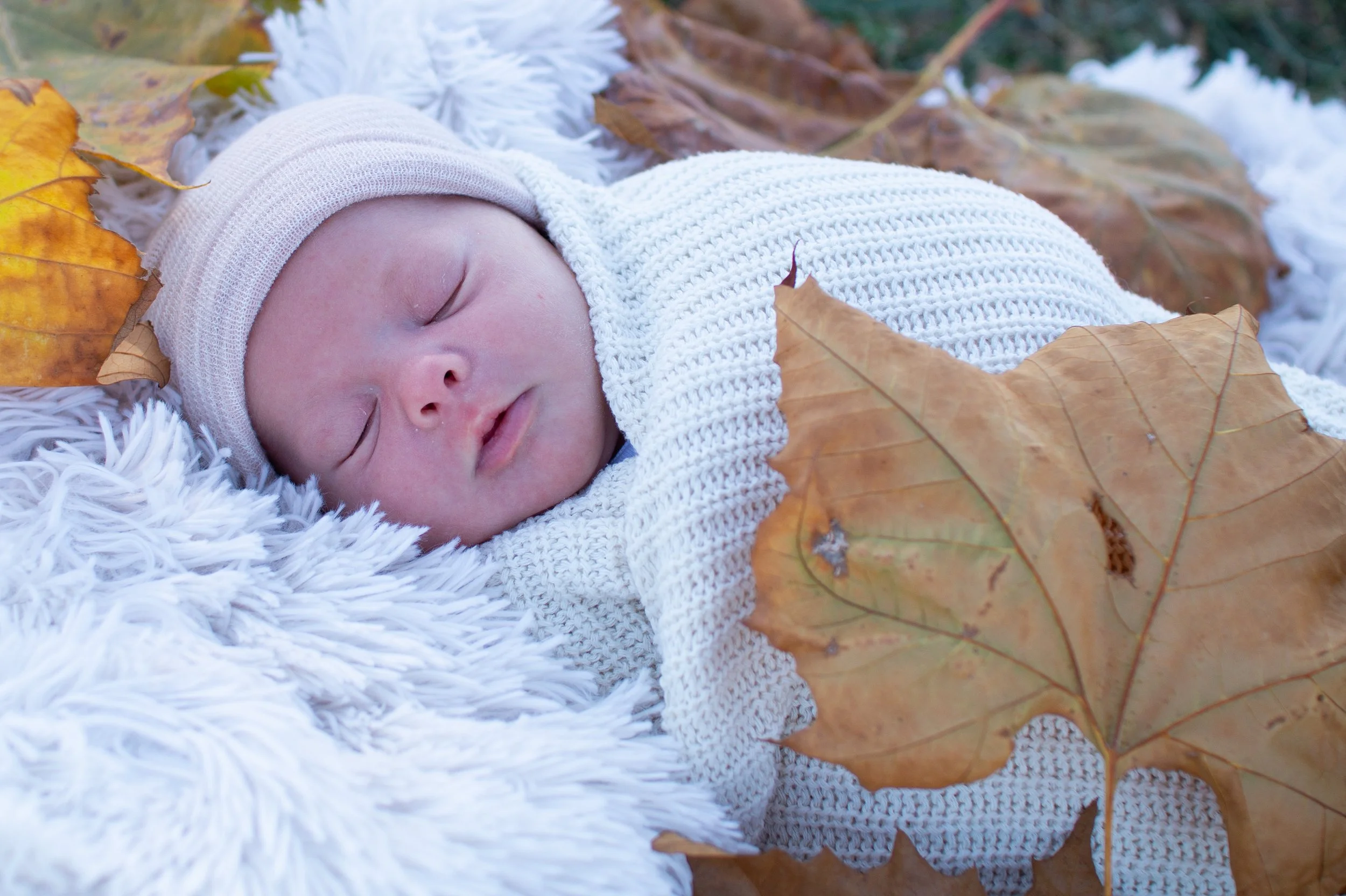 New baby photographed with big fall leaves on a blanket in a park in Huntington Indiana