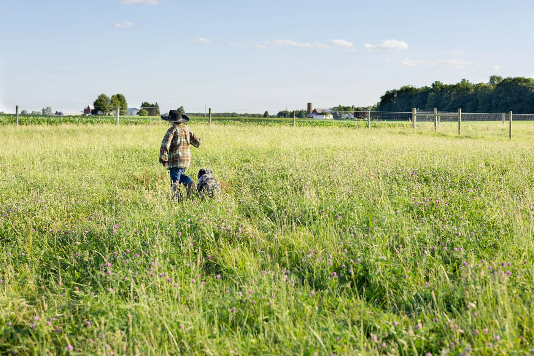 Dog and boy running through tall grass in a farm field country setting in North Manchester