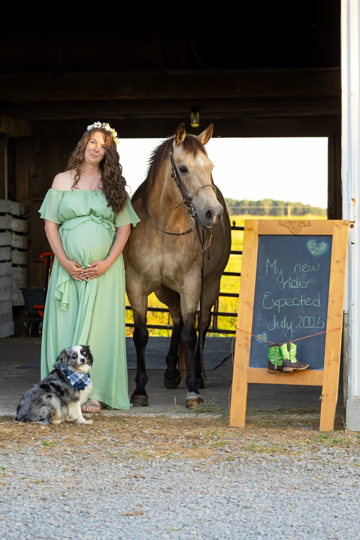 expecting mom standing next to a horse and dog for an adorable maternity photography session in north manchester indiana