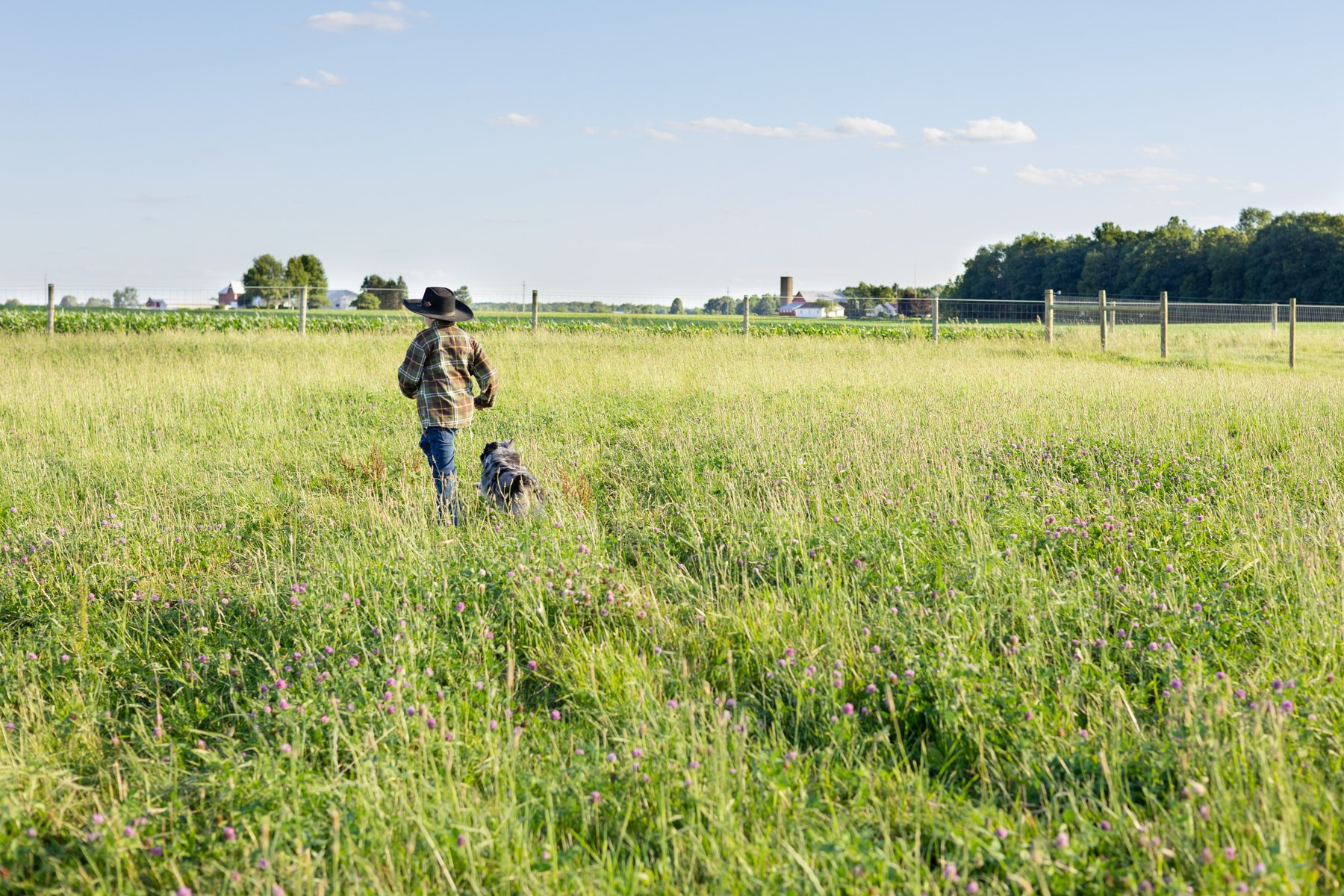 Dog and boy running through tall grass in a farm field in Indiana