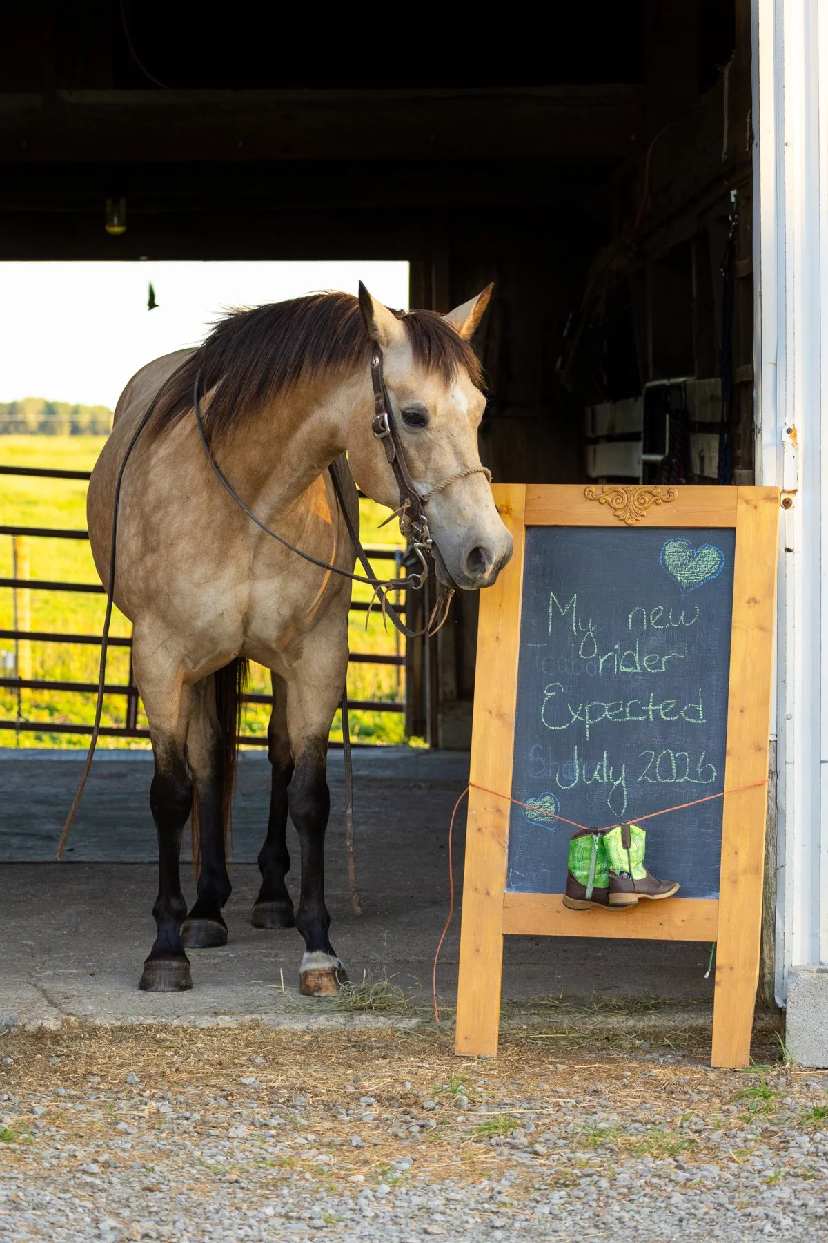 equine photographer at a barn in North Manchester, Indiana, helped to tell the story of a newborn arrival with the horse looking at a chalkboard that states the details of the baby's arrival with green boots attached