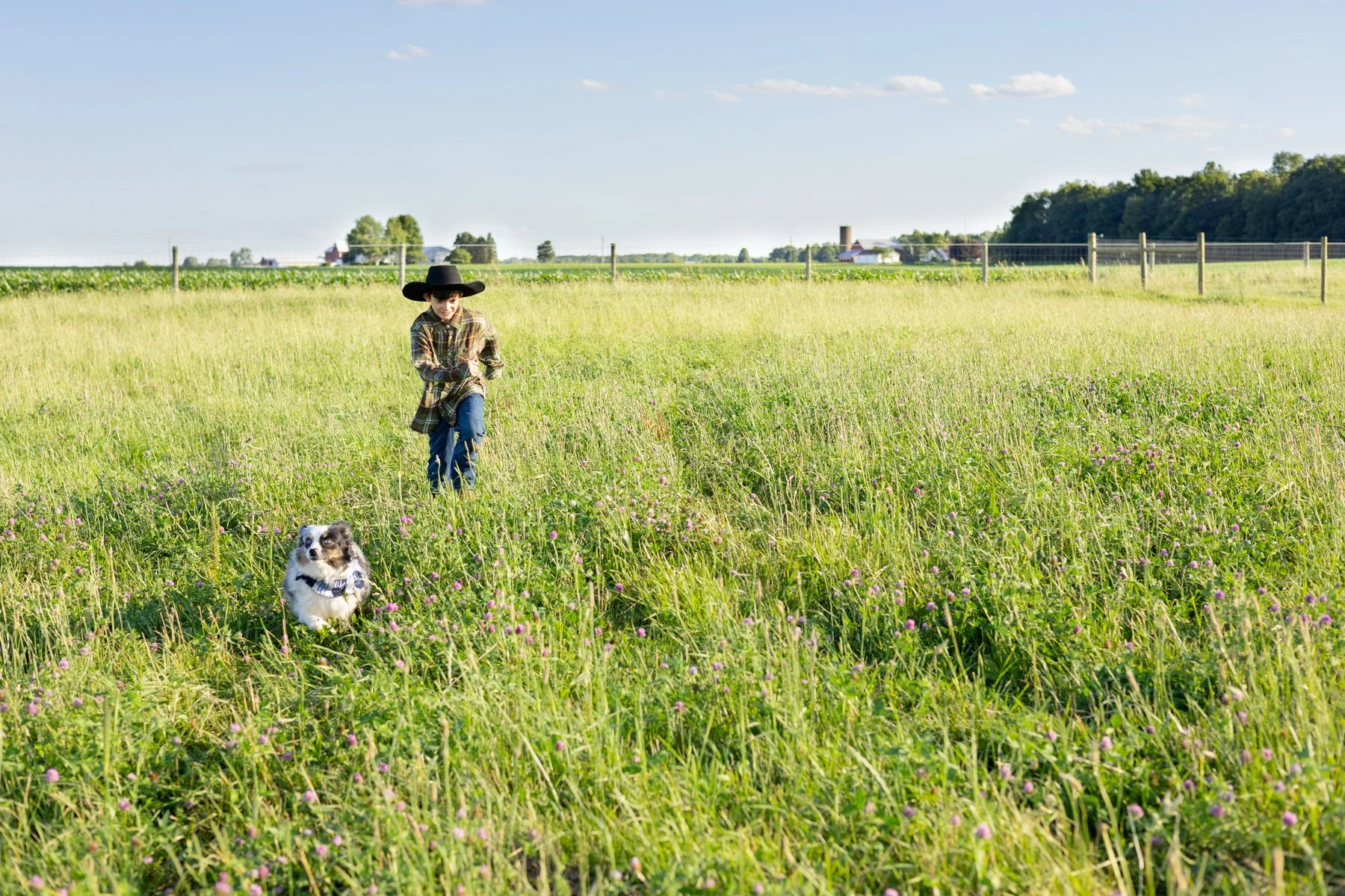 Dog and boy running through farm field with tall grasses in North Manchester, Indiana