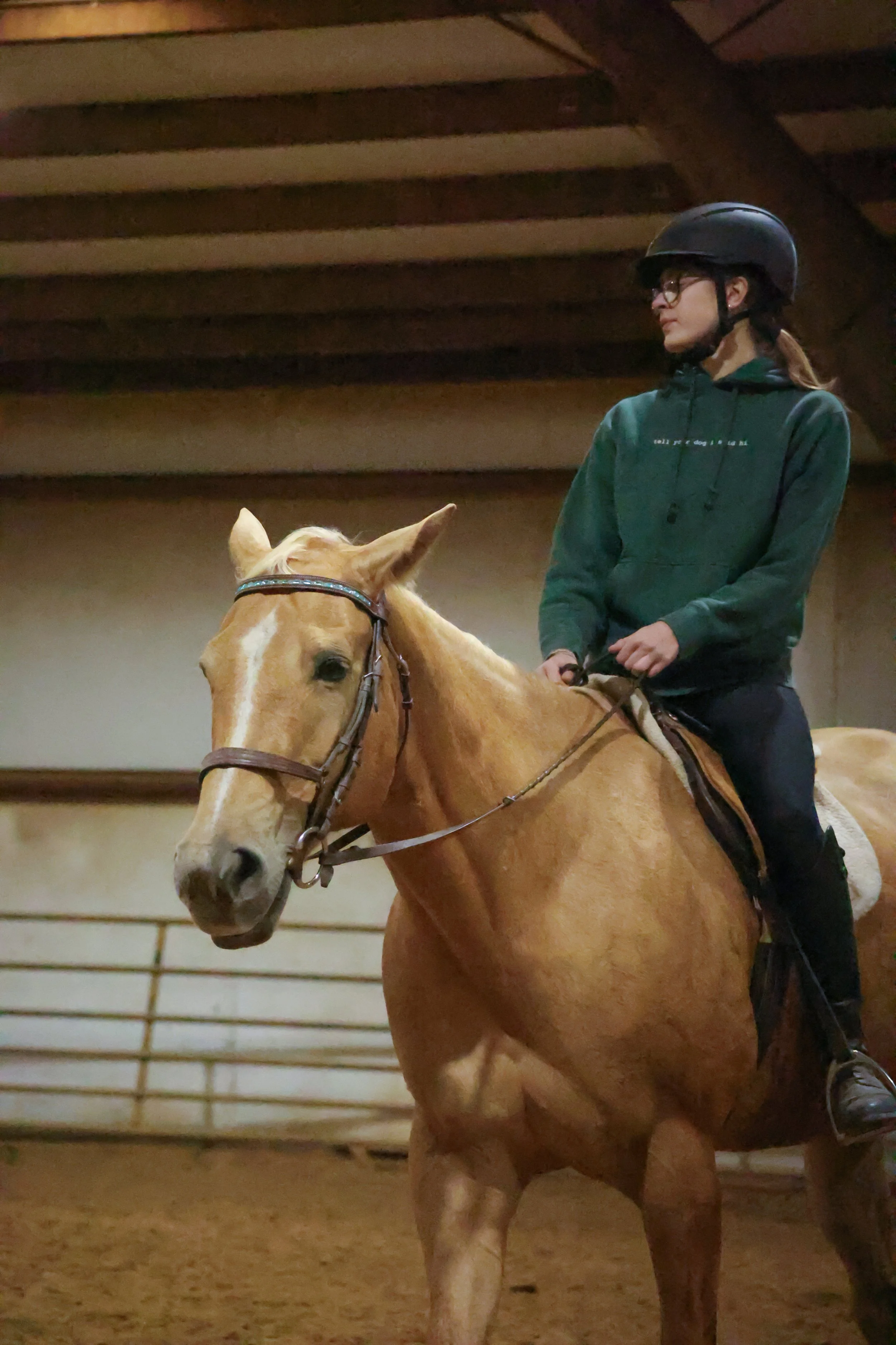 horse and rider in an arena learning new things photographed in indiana