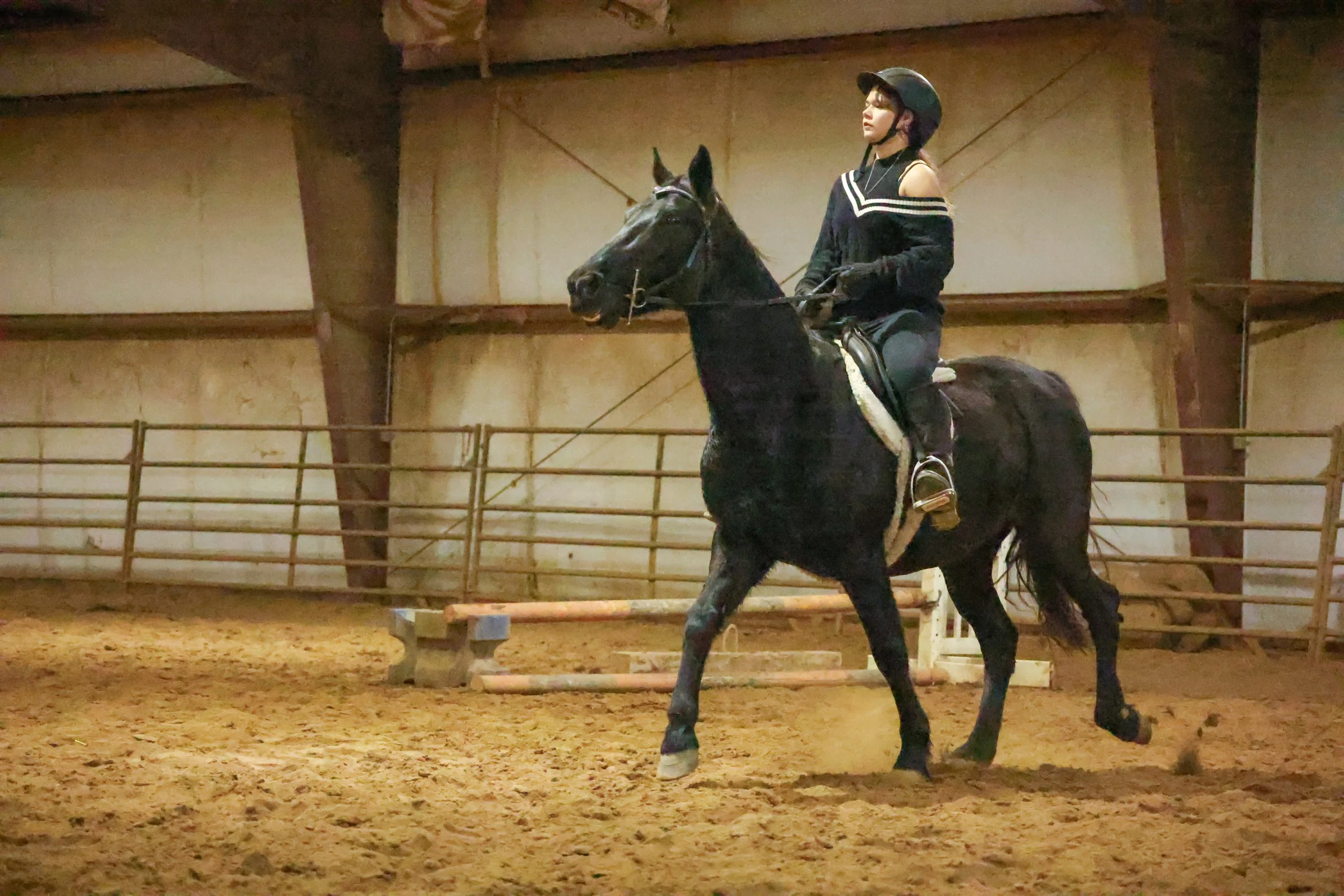 horse and rider learning at an arena photographed in indiana