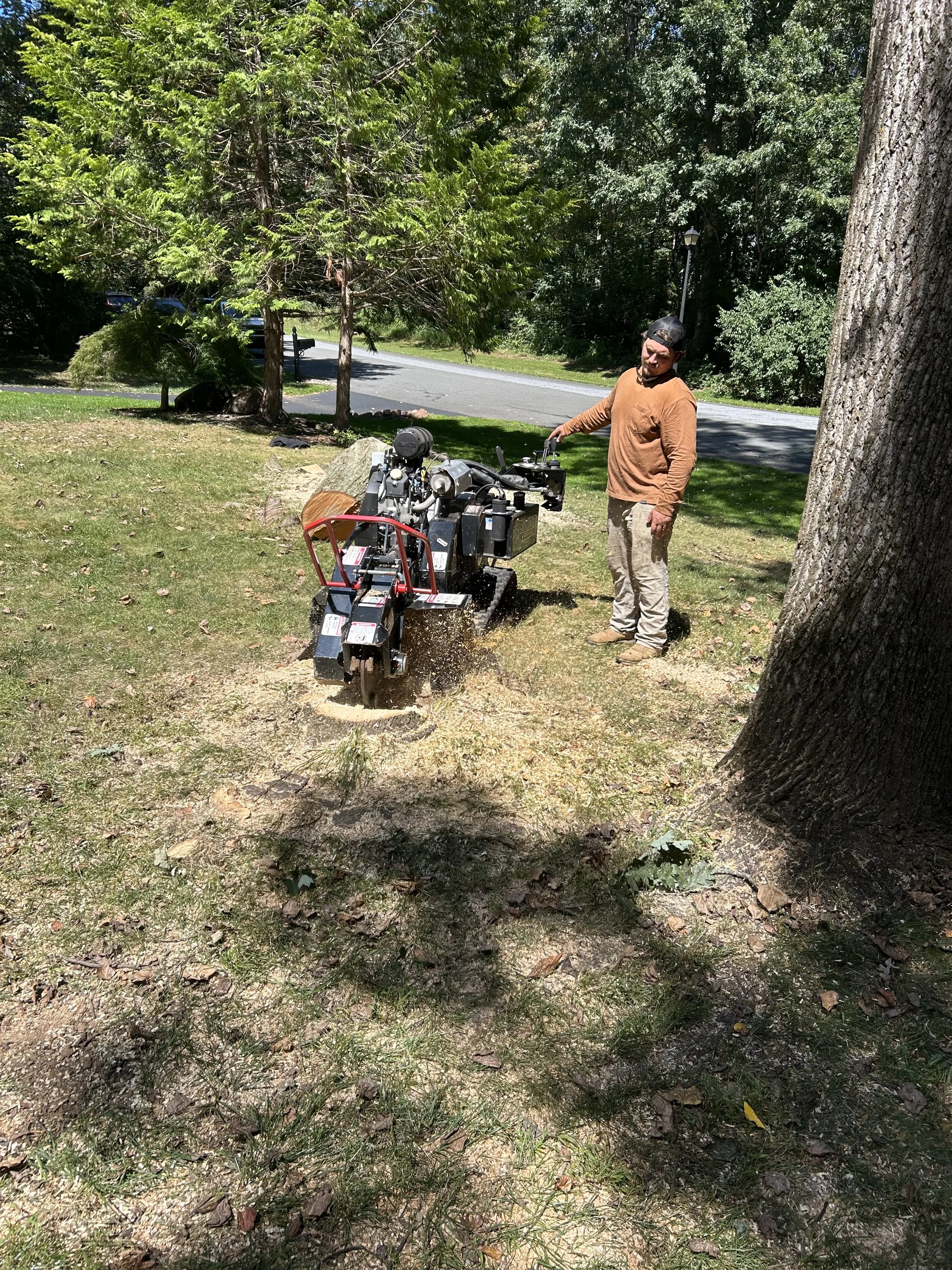 A man operating a small tree stump grinding machine in a grassy yard near trees, with a street and sidewalk in the background on a sunny day.