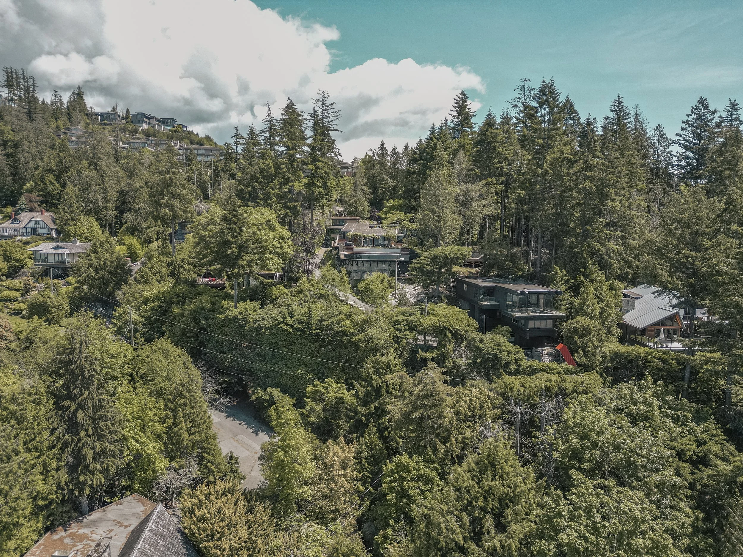 DJI_0872.jpg