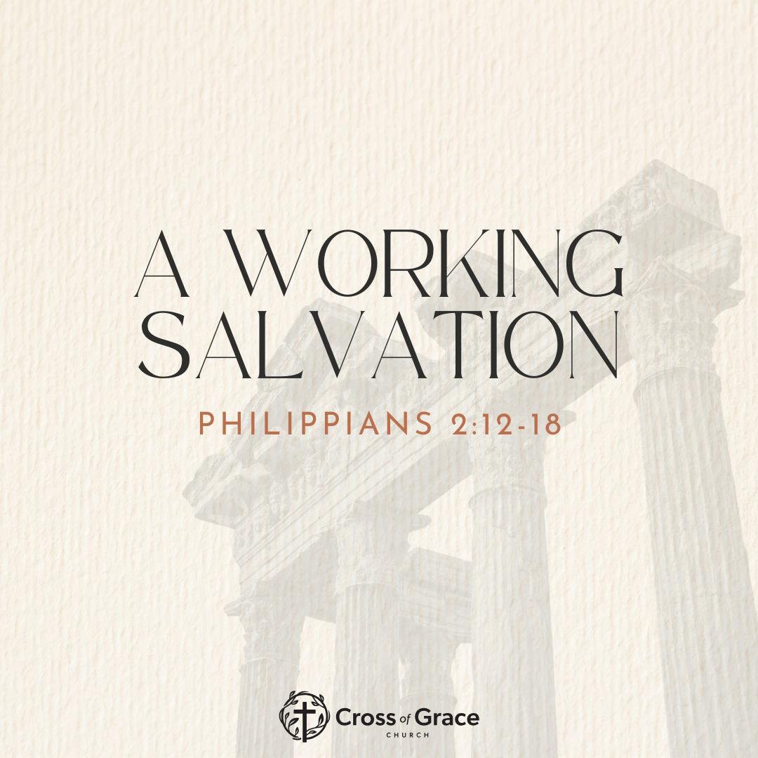 A Working Salvation | Philippians 2:12-18