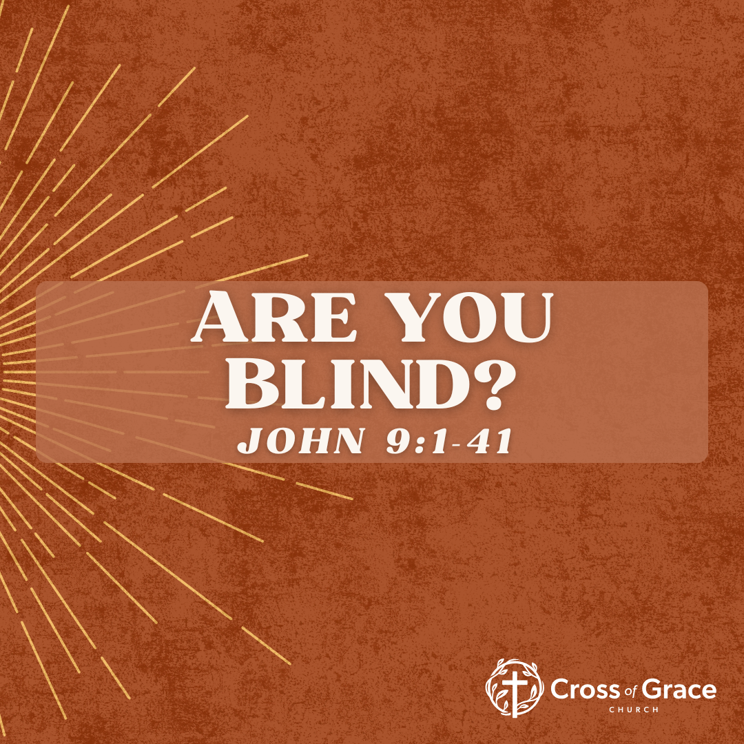 Are You Blind?