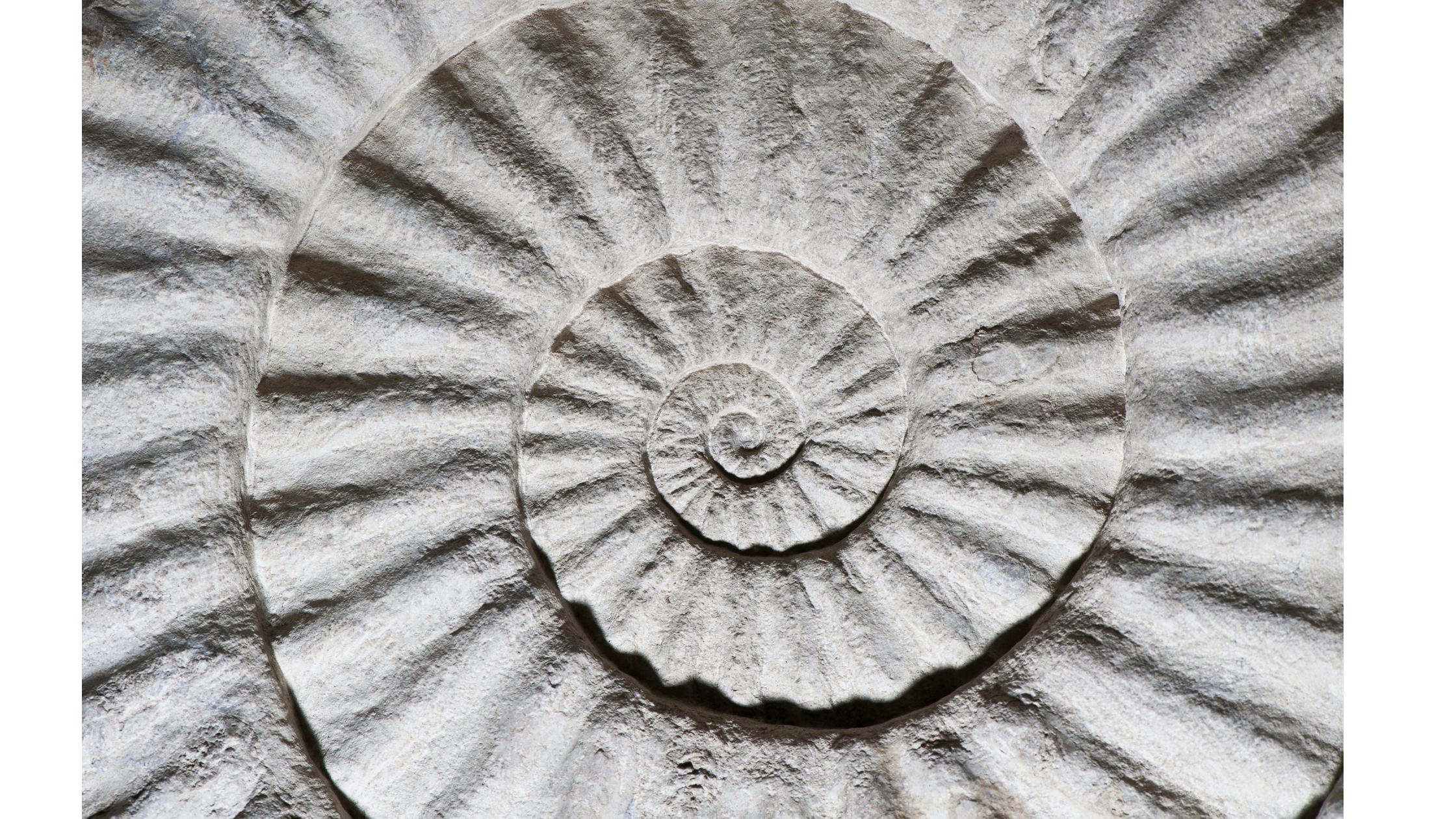 Week 4: Creative Unfolding & The Earth’s Rhythm
