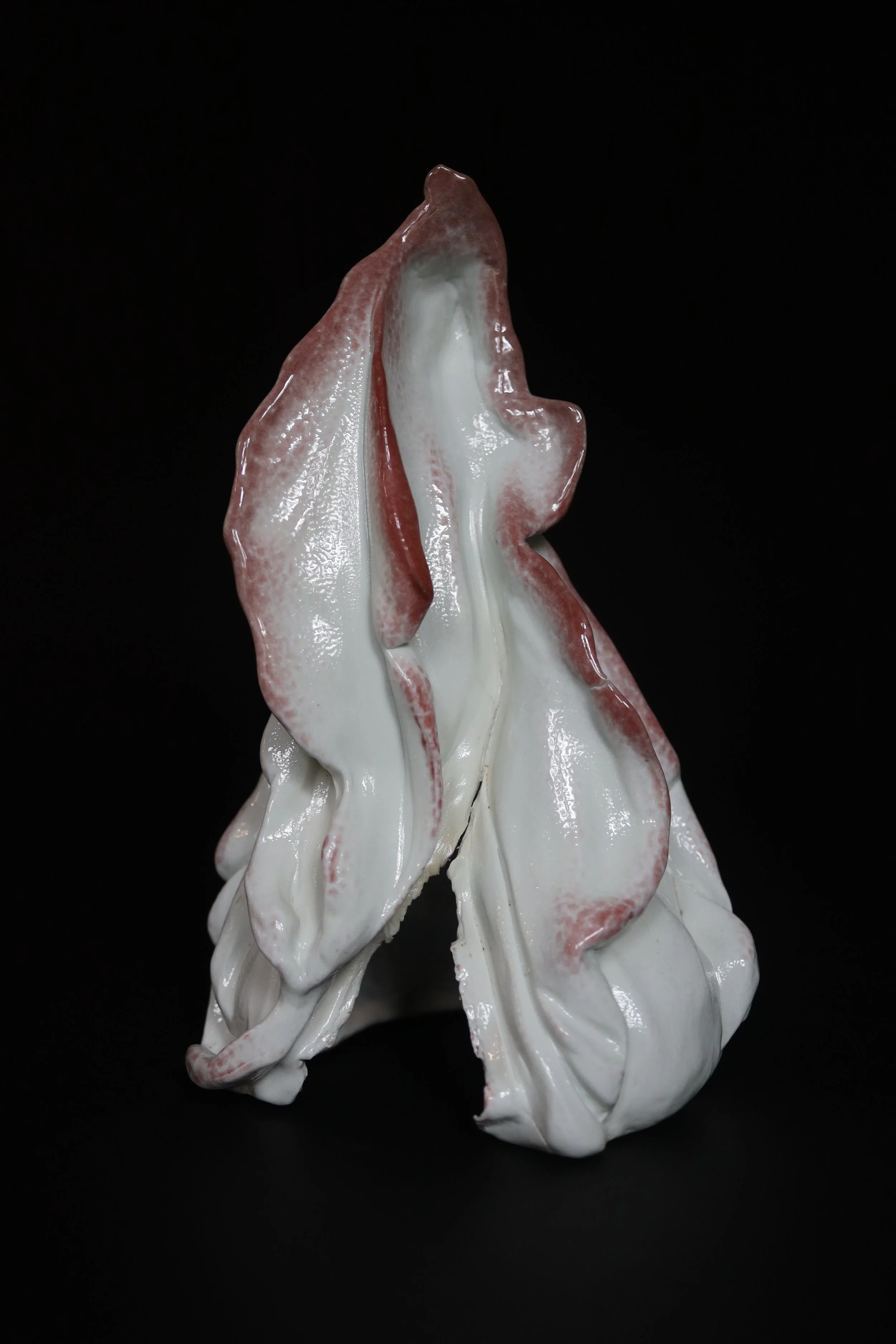 Pink Folds.jpg