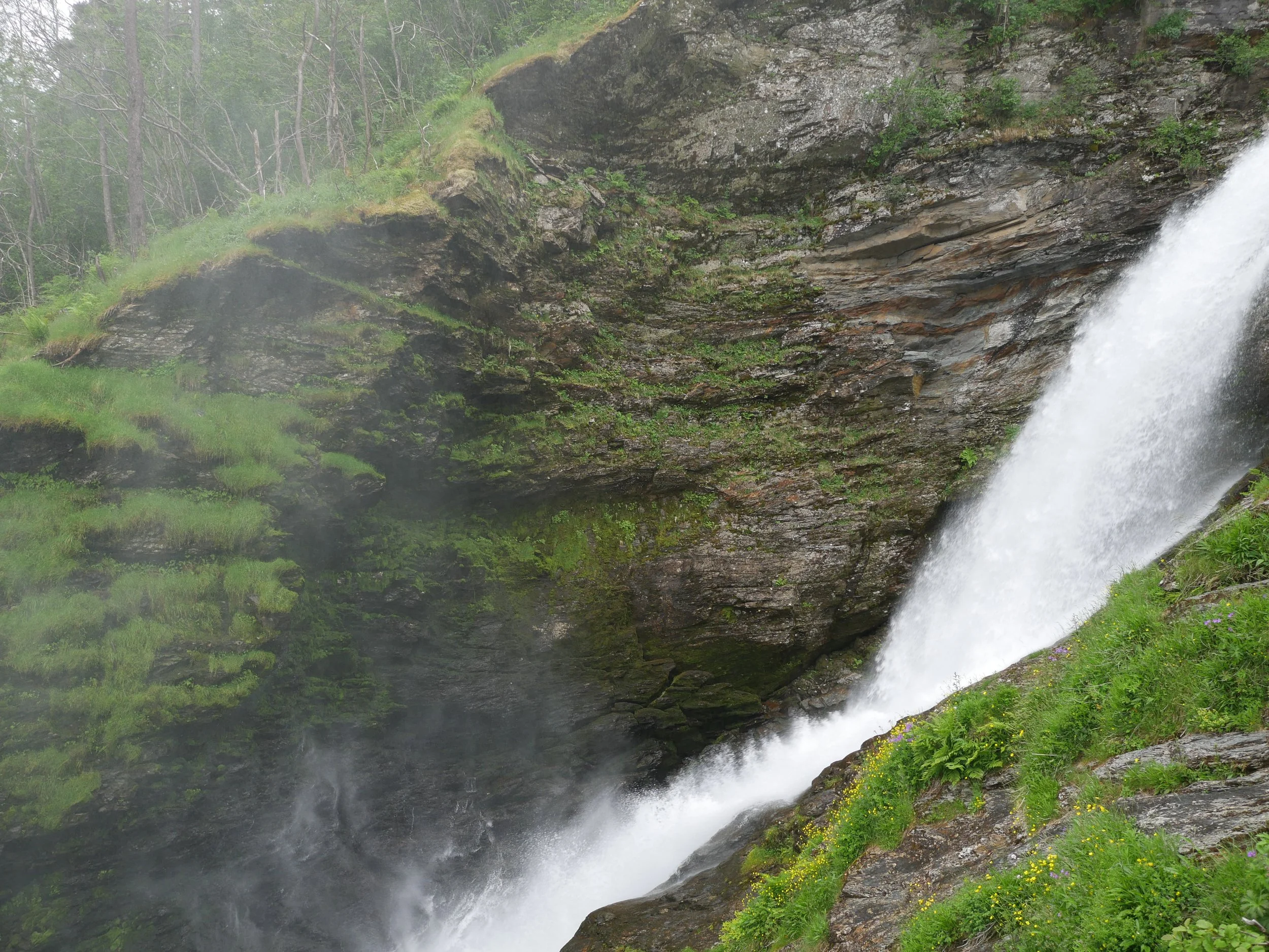 P1060416.JPG