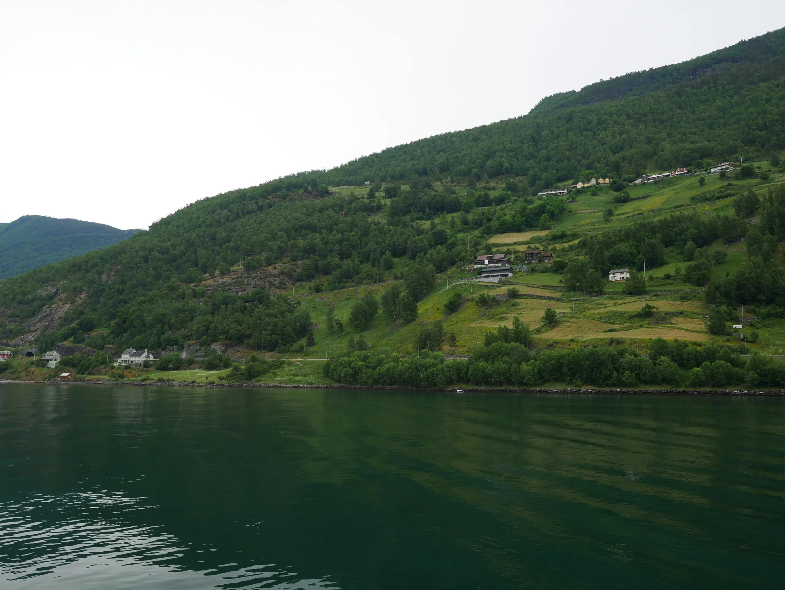 P1060783.JPG