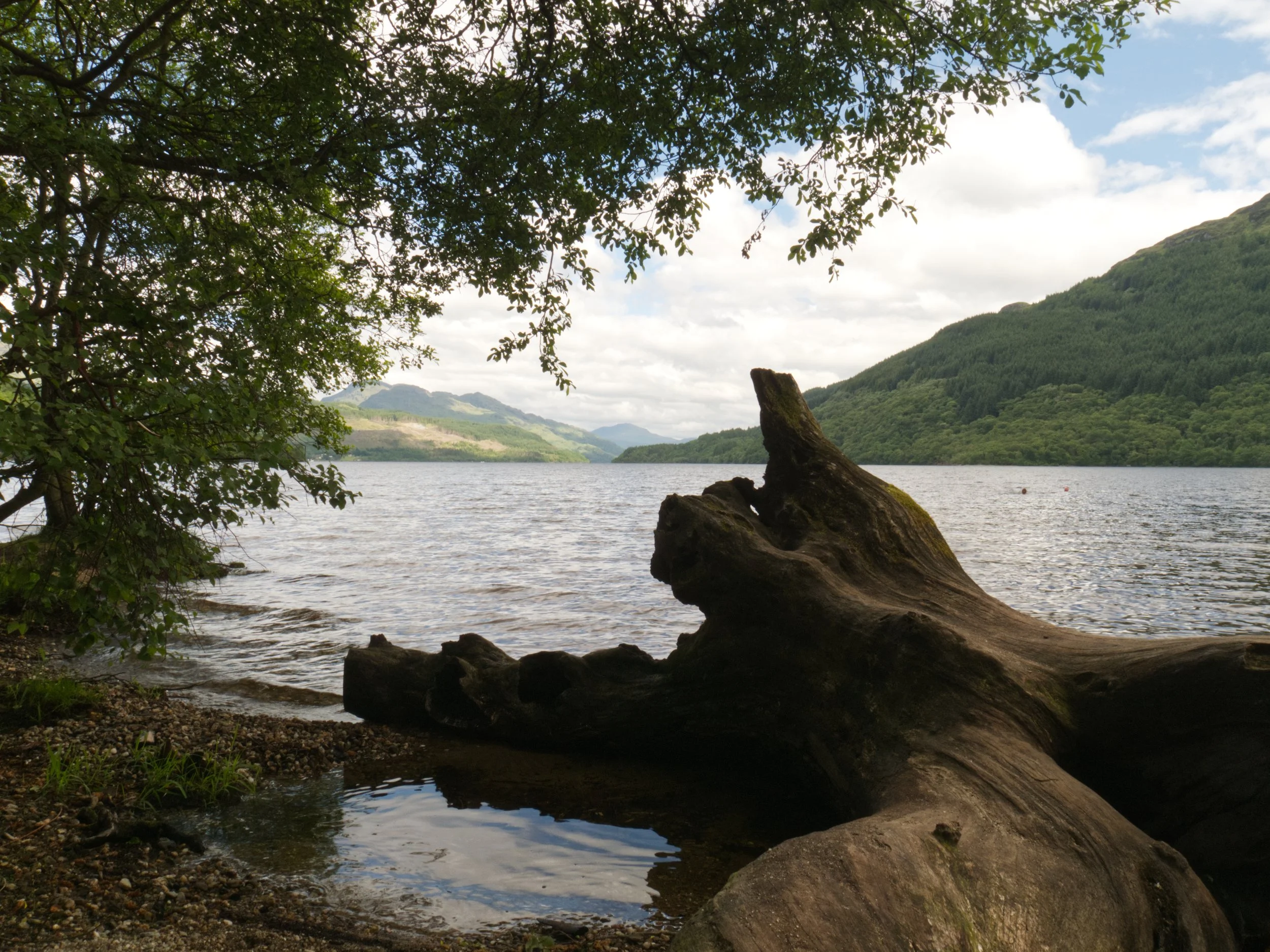 Lomond1.jpg.jpg