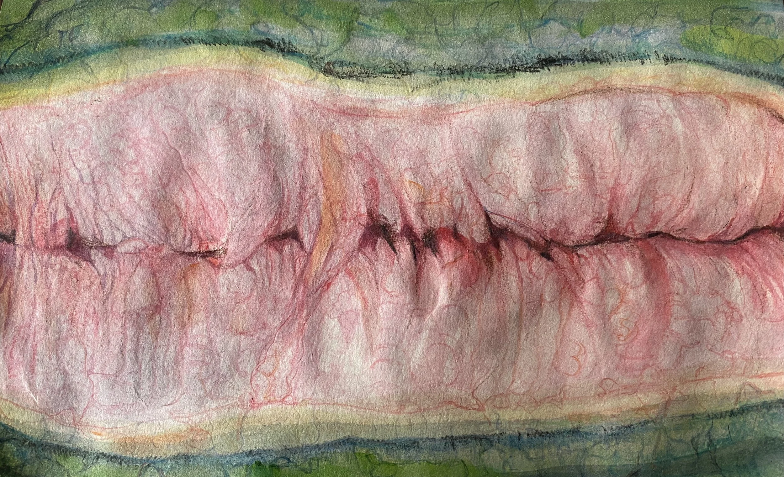 a piece  of meat for Sukiyaki